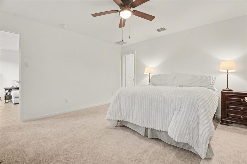 14174 Inglebert Street Pilot Point, TX 76258 - Photo 17 of 21