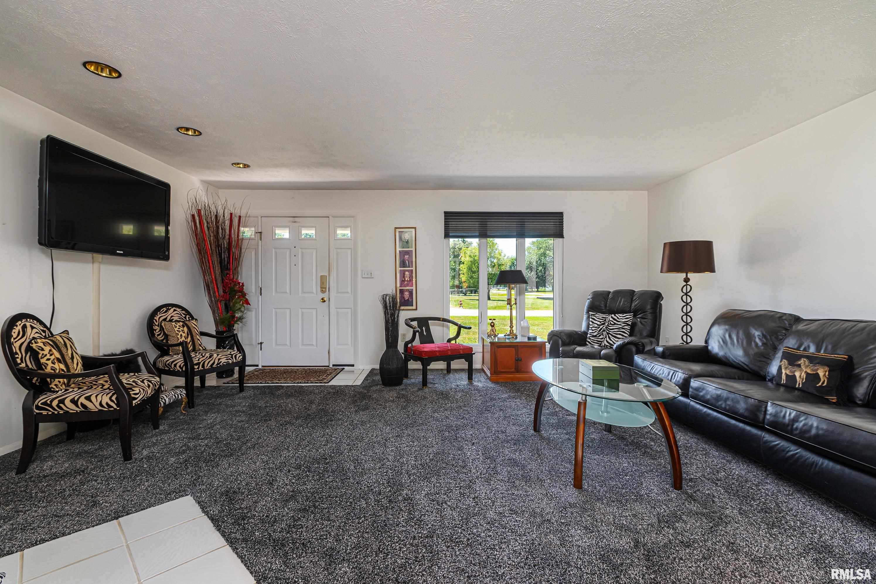 207 Bob A Rosa Avenue Murphysboro, IL 62966 - Photo 11 of 33