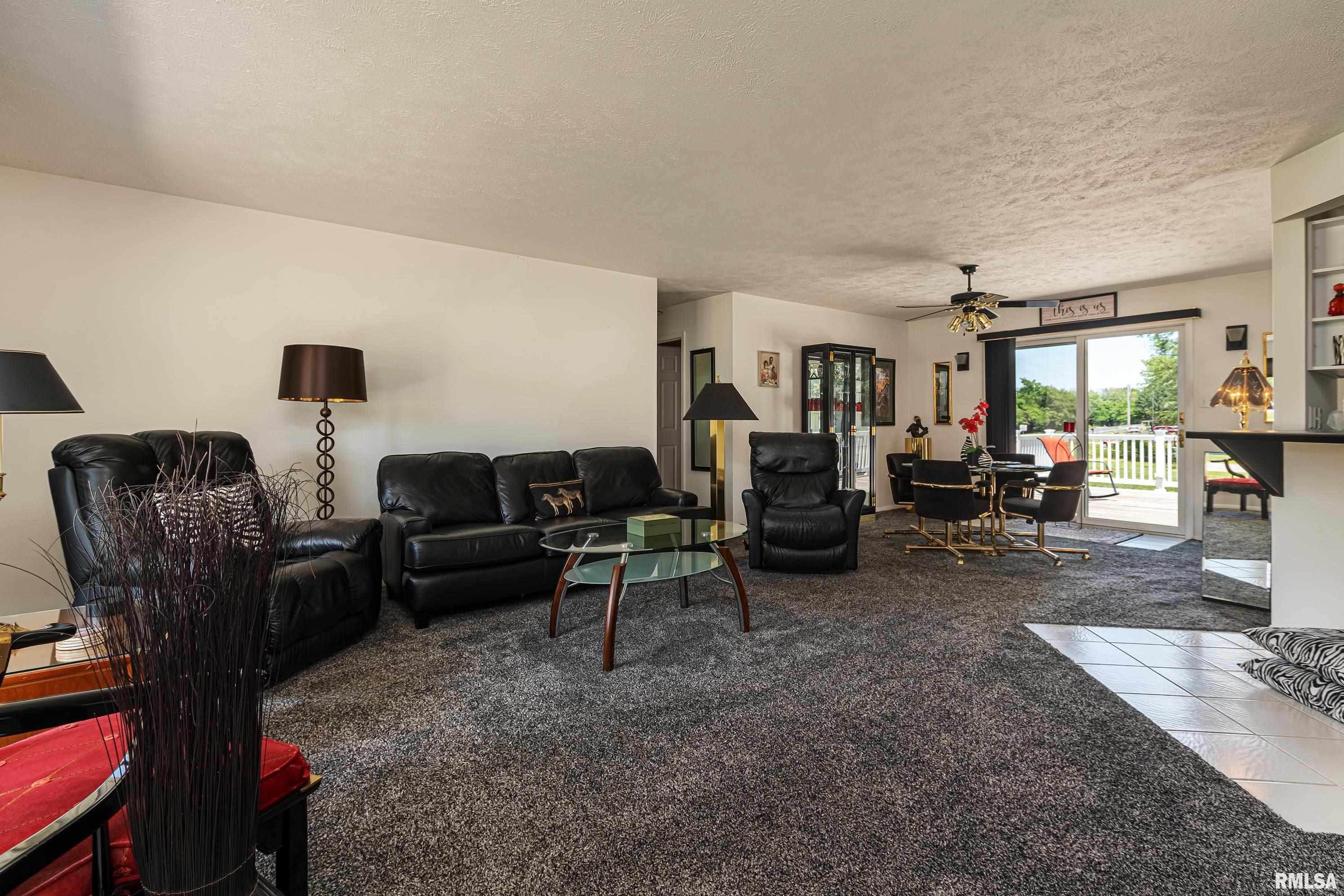 207 Bob A Rosa Avenue Murphysboro, IL 62966 - Photo 12 of 33