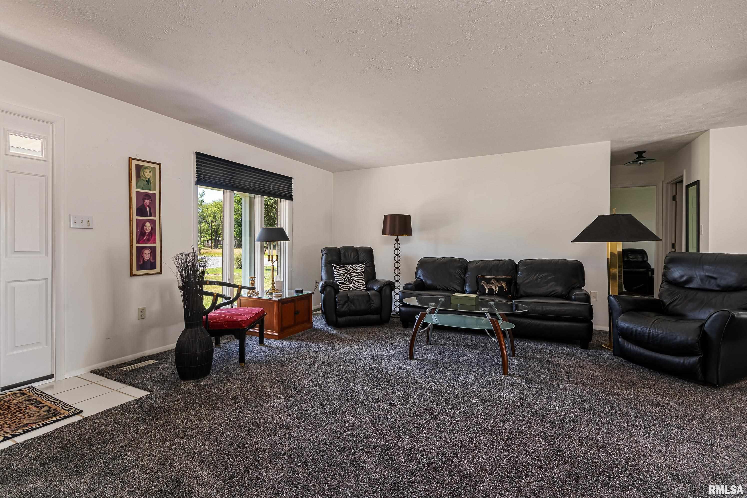 207 Bob A Rosa Avenue Murphysboro, IL 62966 - Photo 13 of 33