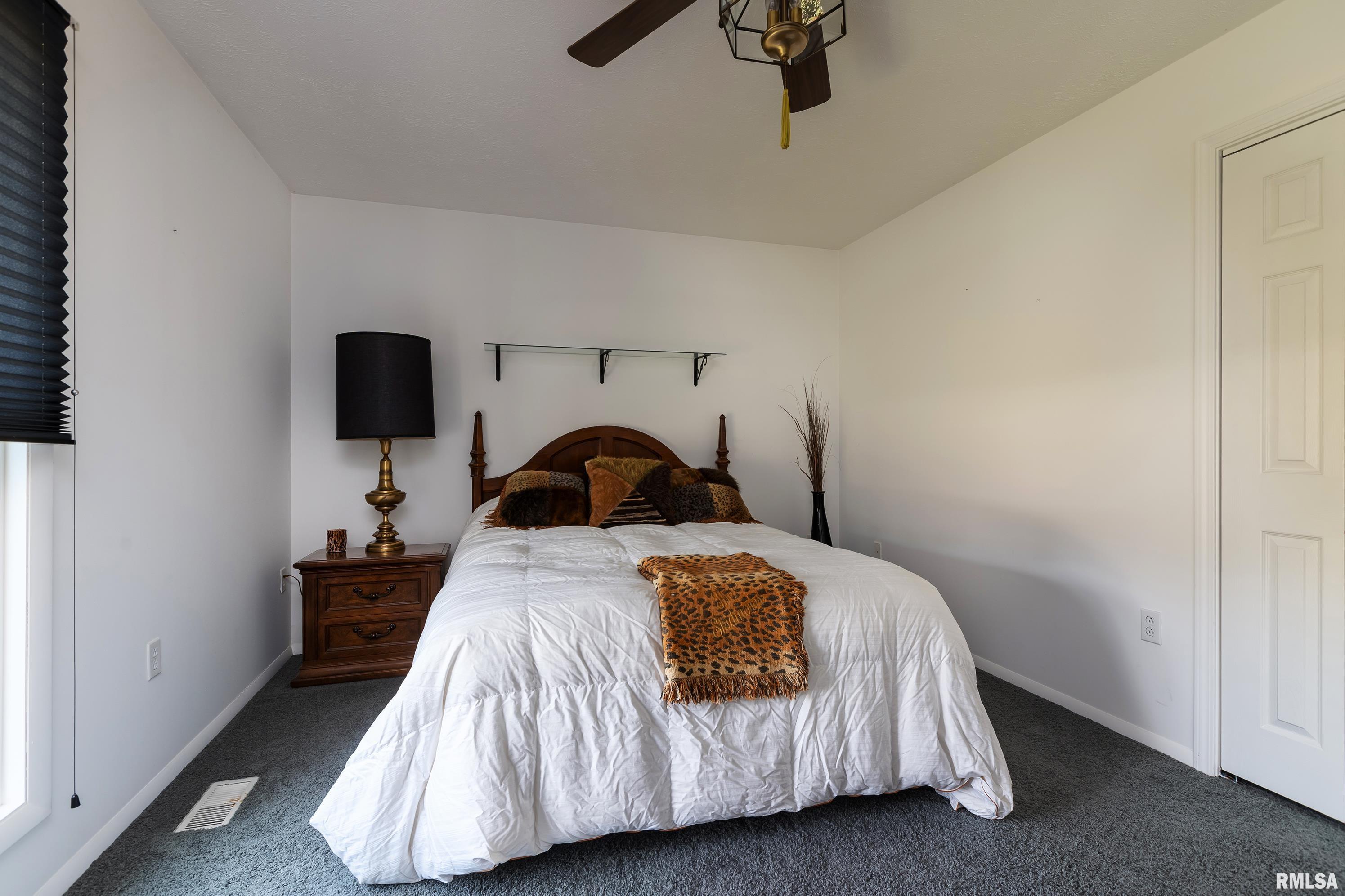 207 Bob A Rosa Avenue Murphysboro, IL 62966 - Photo 24 of 33