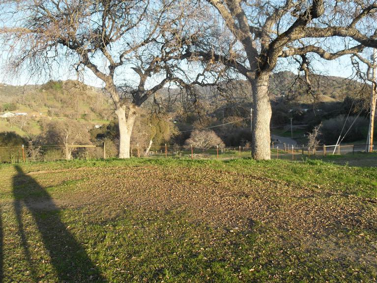 47528 Creekside Road Squaw Valley, CA 93675 - Photo 13 of 21 Gallery Image 13