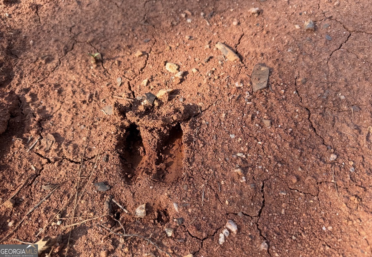 14 Turning Point Way Elberton, GA 30635 - Photo 16 of 65