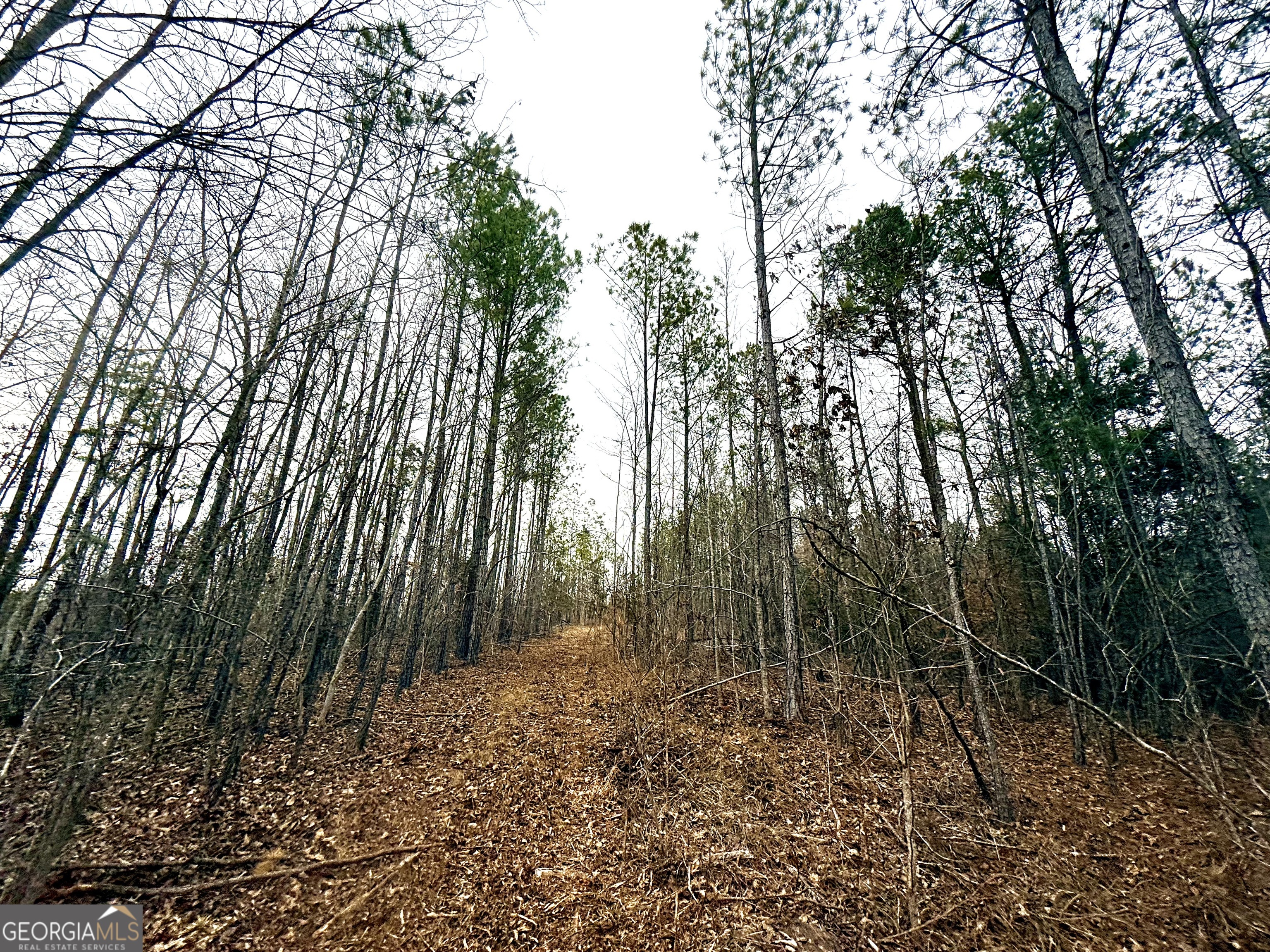14 Turning Point Way Elberton, GA 30635 - Photo 2 of 65 a view of backyard with green space