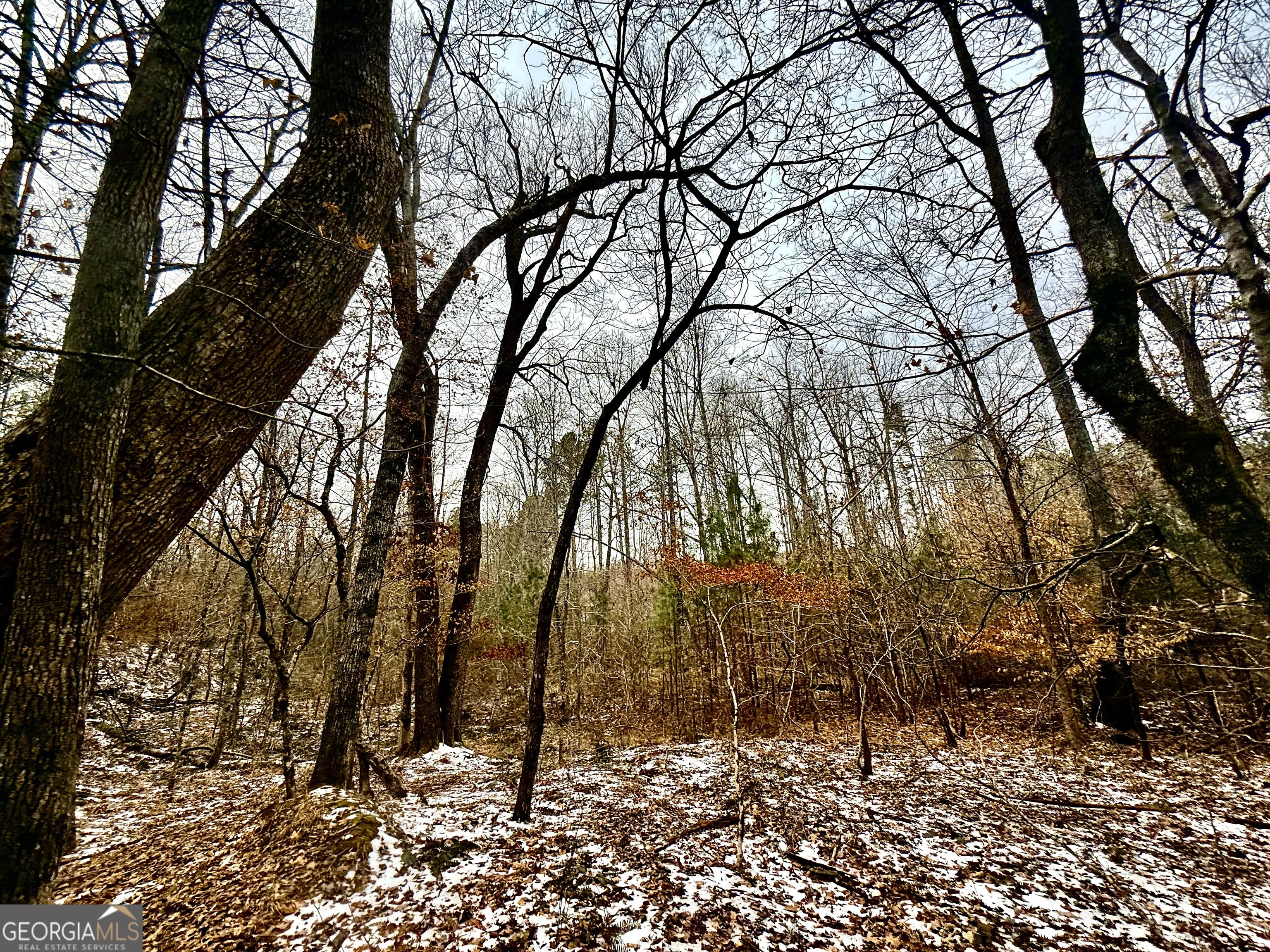 14 Turning Point Way Elberton, GA 30635 - Photo 28 of 65 a backyard of a house with lots of trees