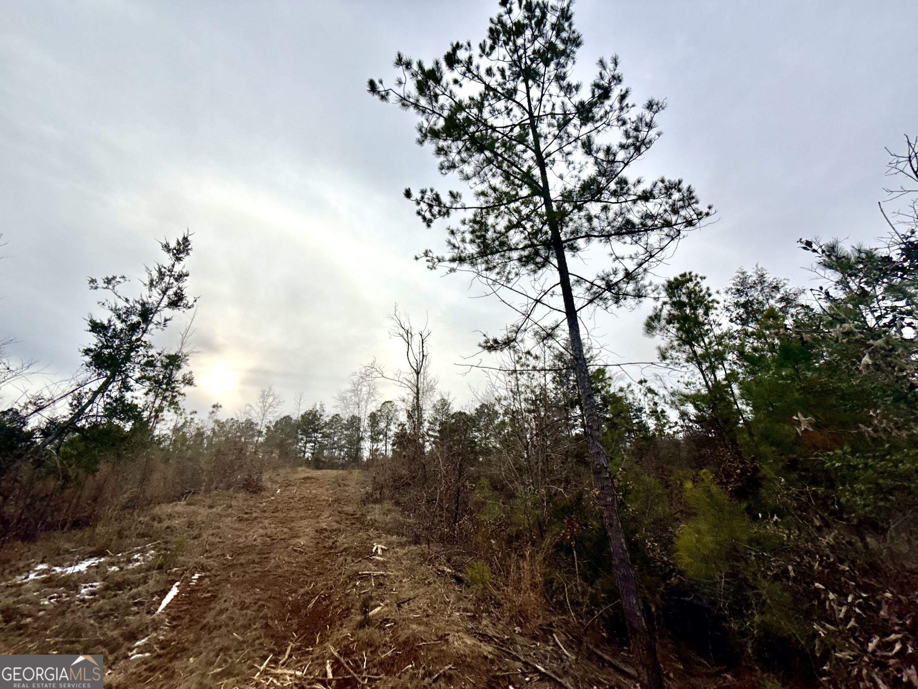 14 Turning Point Way Elberton, GA 30635 - Photo 3 of 65 a view of a tree in a yard with a tree
