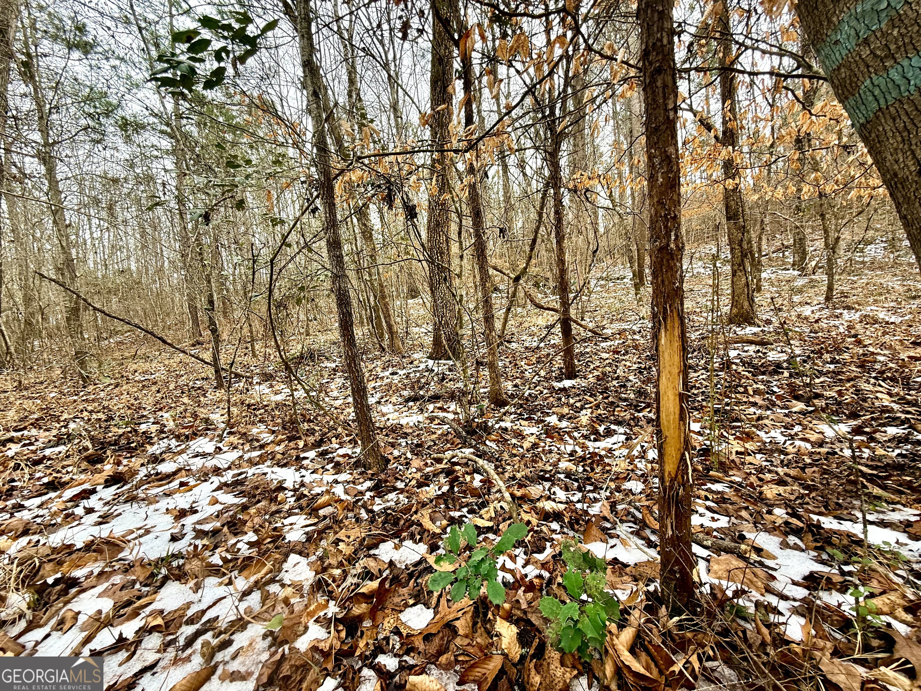 14 Turning Point Way Elberton, GA 30635 - Photo 31 of 65