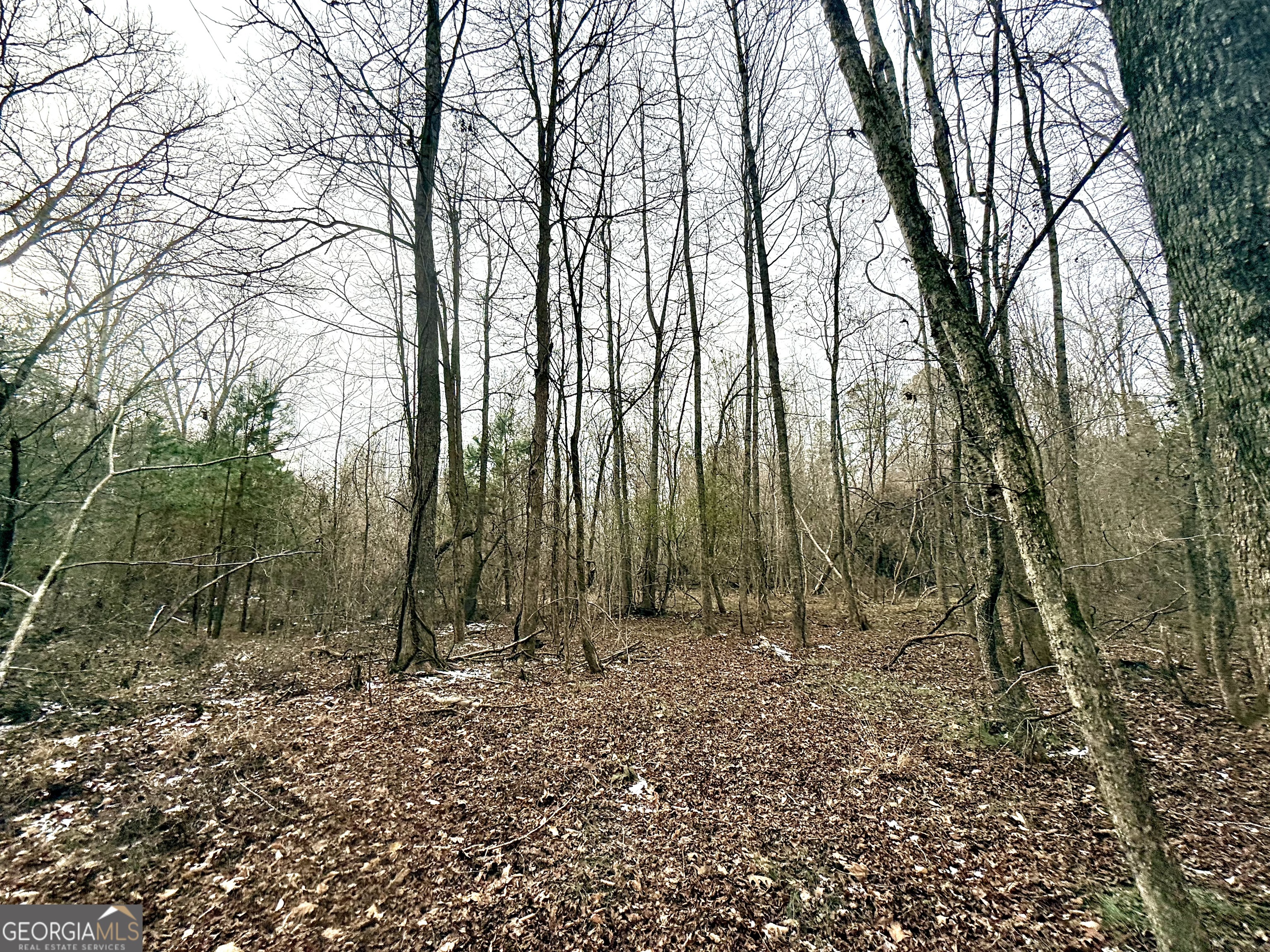 14 Turning Point Way Elberton, GA 30635 - Photo 33 of 65 a view of outdoor space with trees