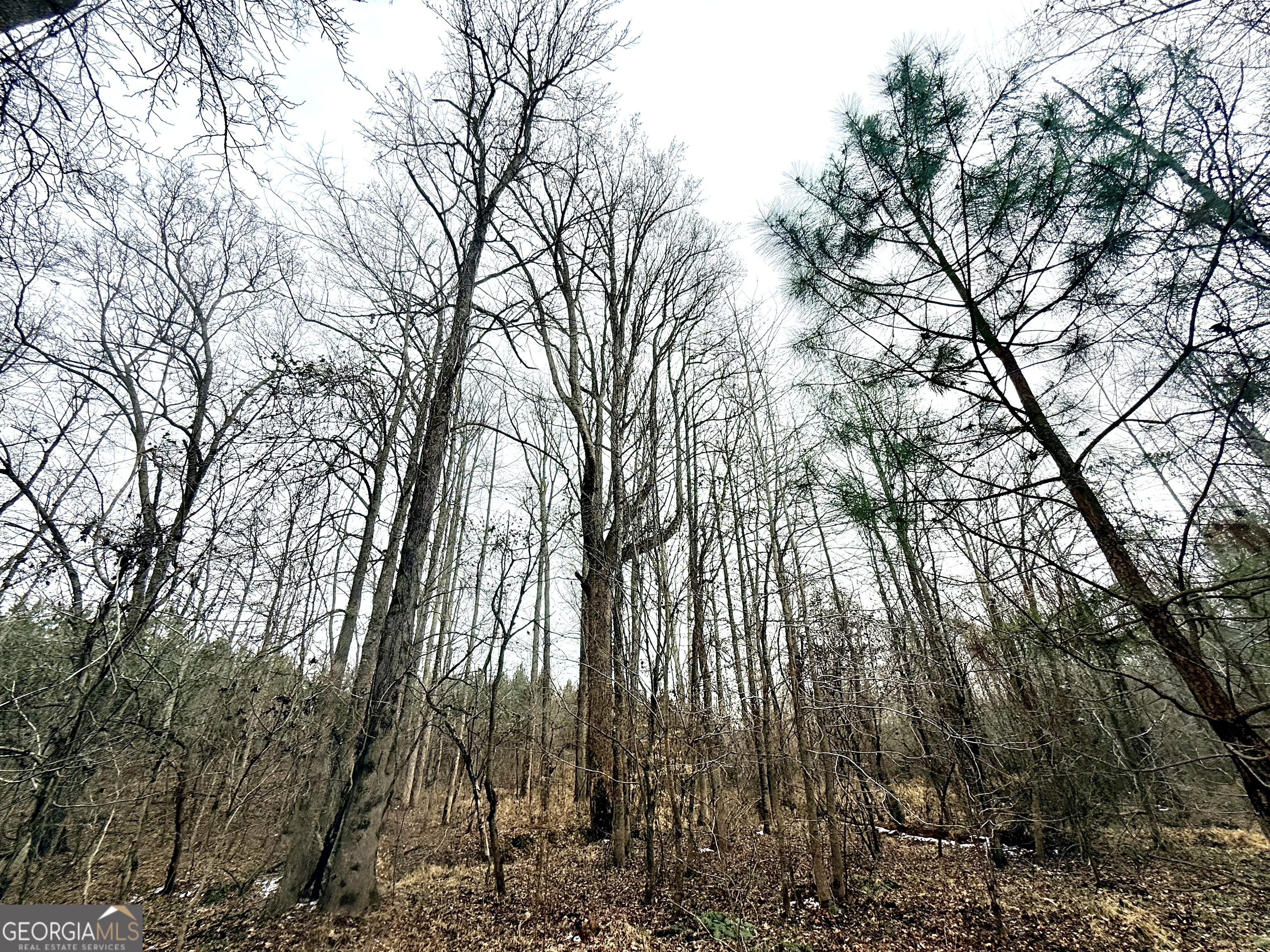 14 Turning Point Way Elberton, GA 30635 - Photo 34 of 65