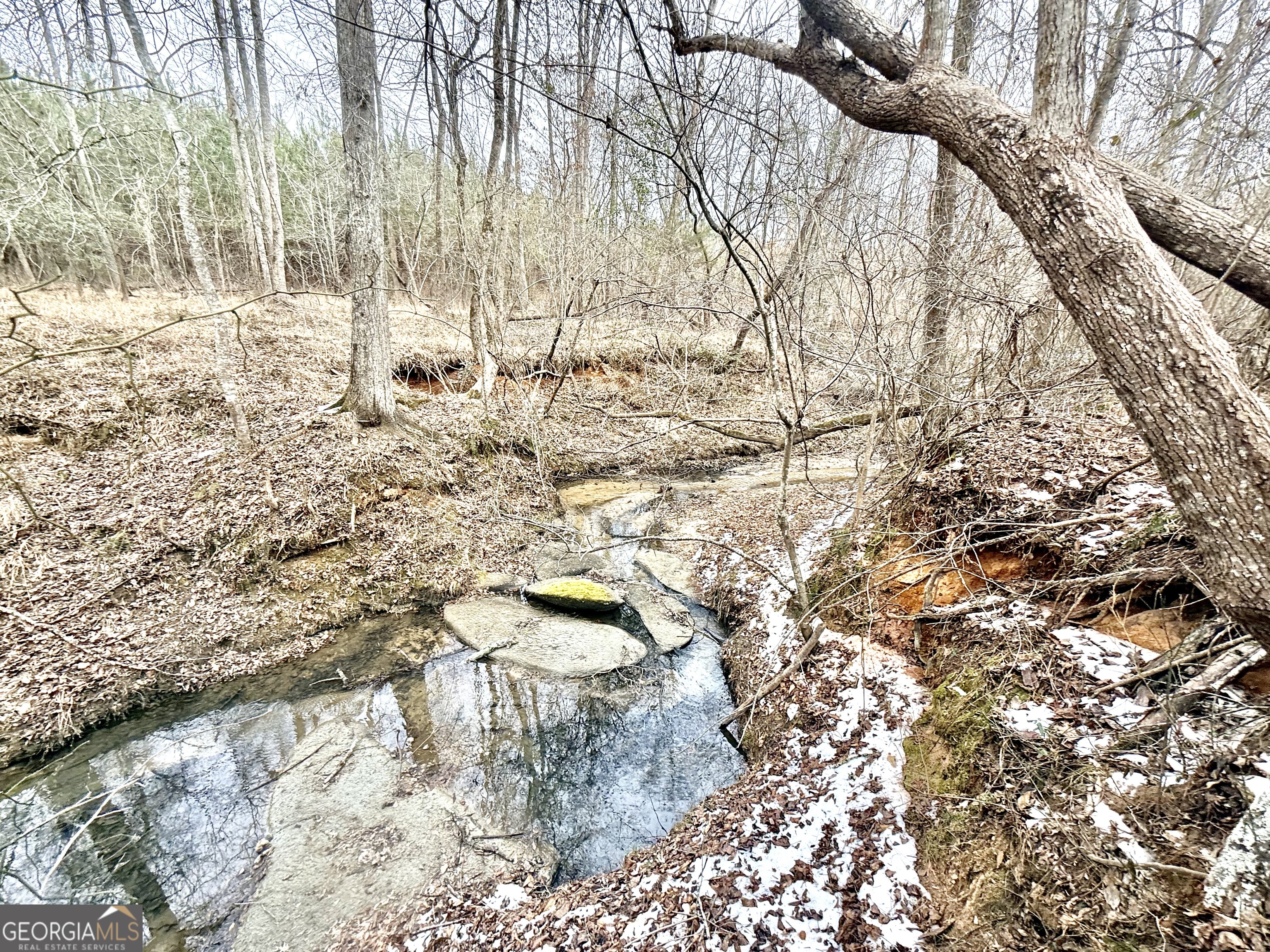 14 Turning Point Way Elberton, GA 30635 - Photo 36 of 65 a view of a yard with some trees