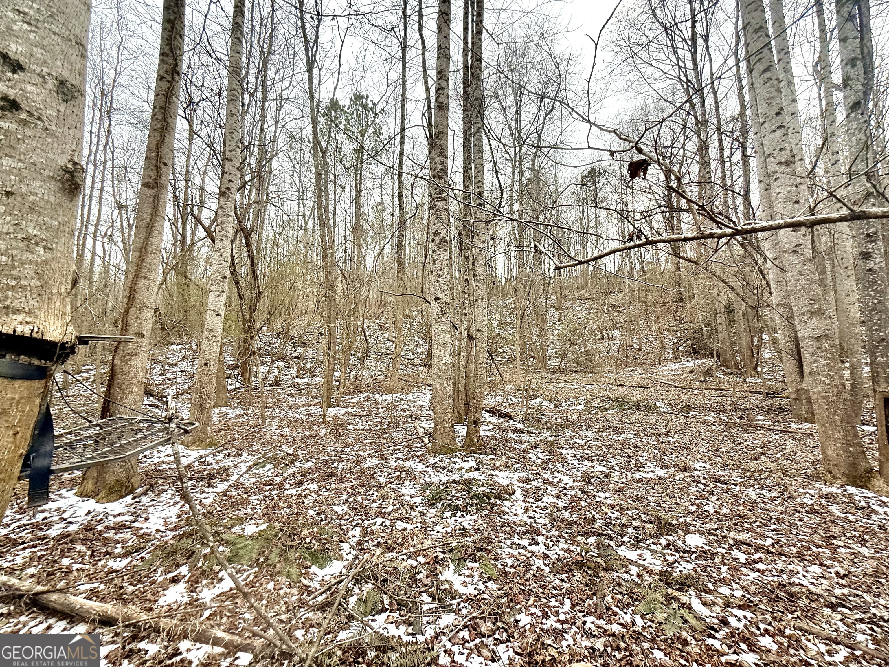 14 Turning Point Way Elberton, GA 30635 - Photo 37 of 65 a view of yard covered with snow