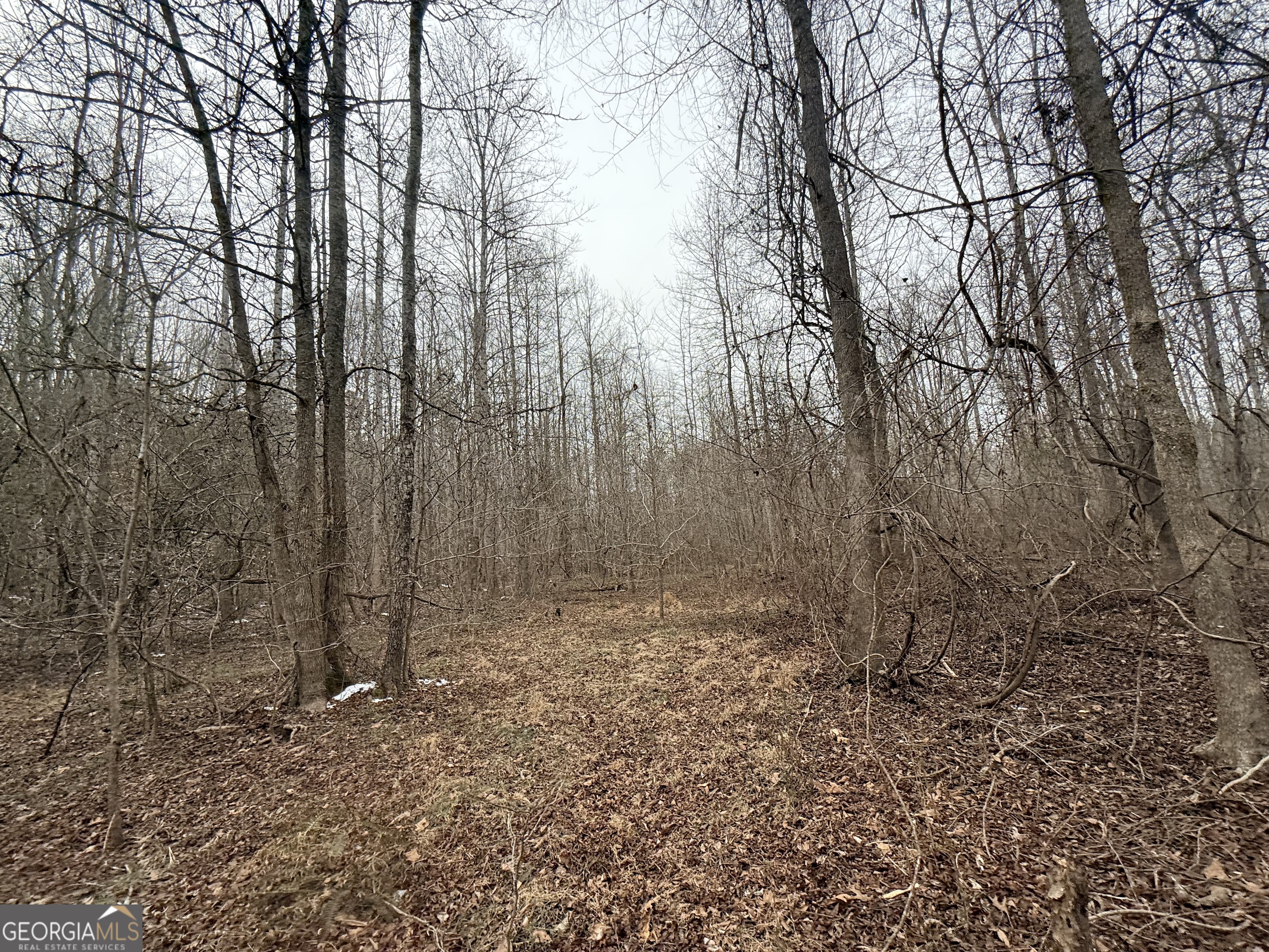 14 Turning Point Way Elberton, GA 30635 - Photo 38 of 65 a view of outdoor space and yard