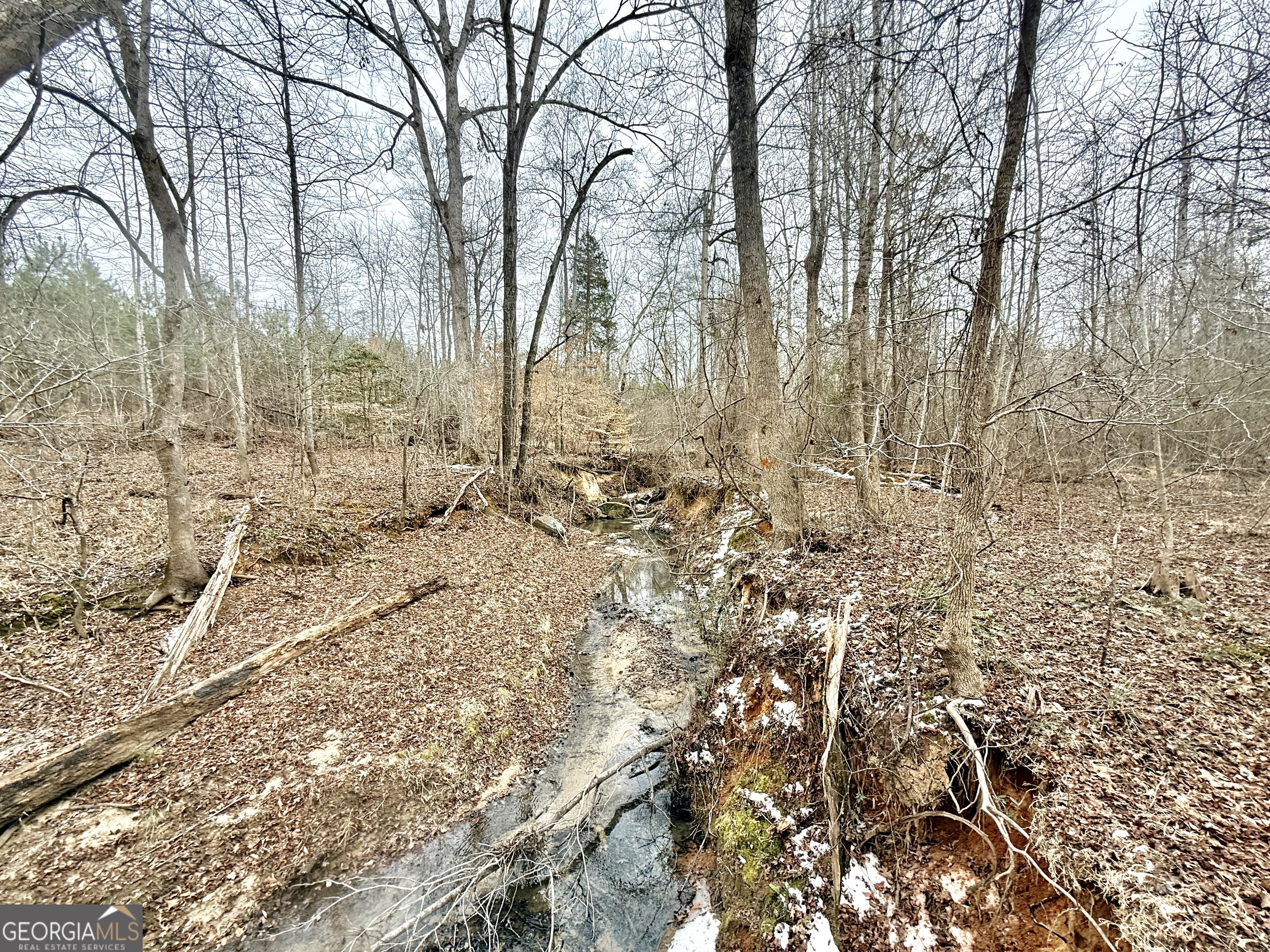 14 Turning Point Way Elberton, GA 30635 - Photo 39 of 65 a view of empty yard