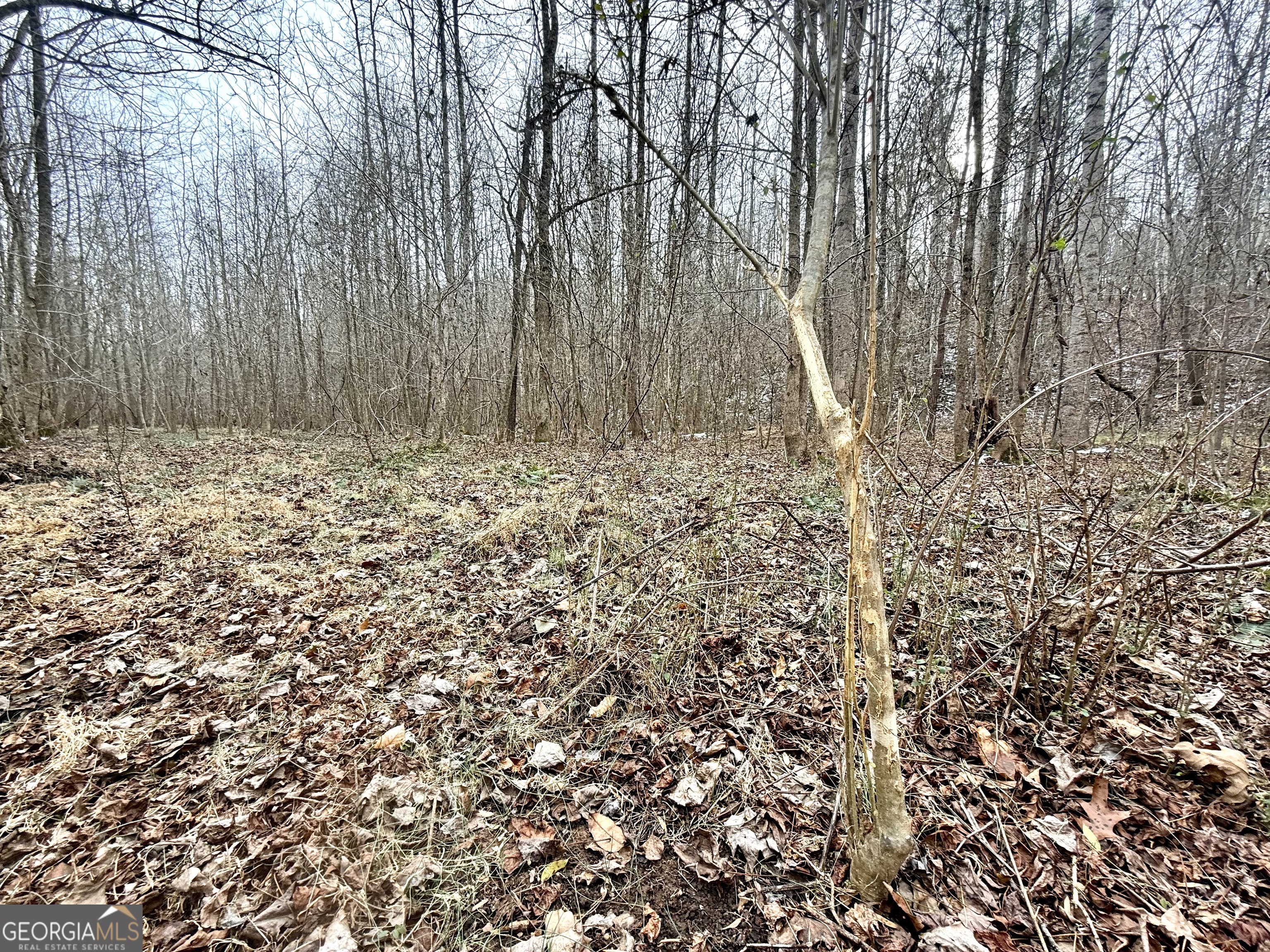 14 Turning Point Way Elberton, GA 30635 - Photo 40 of 65 a view of a backyard of the house