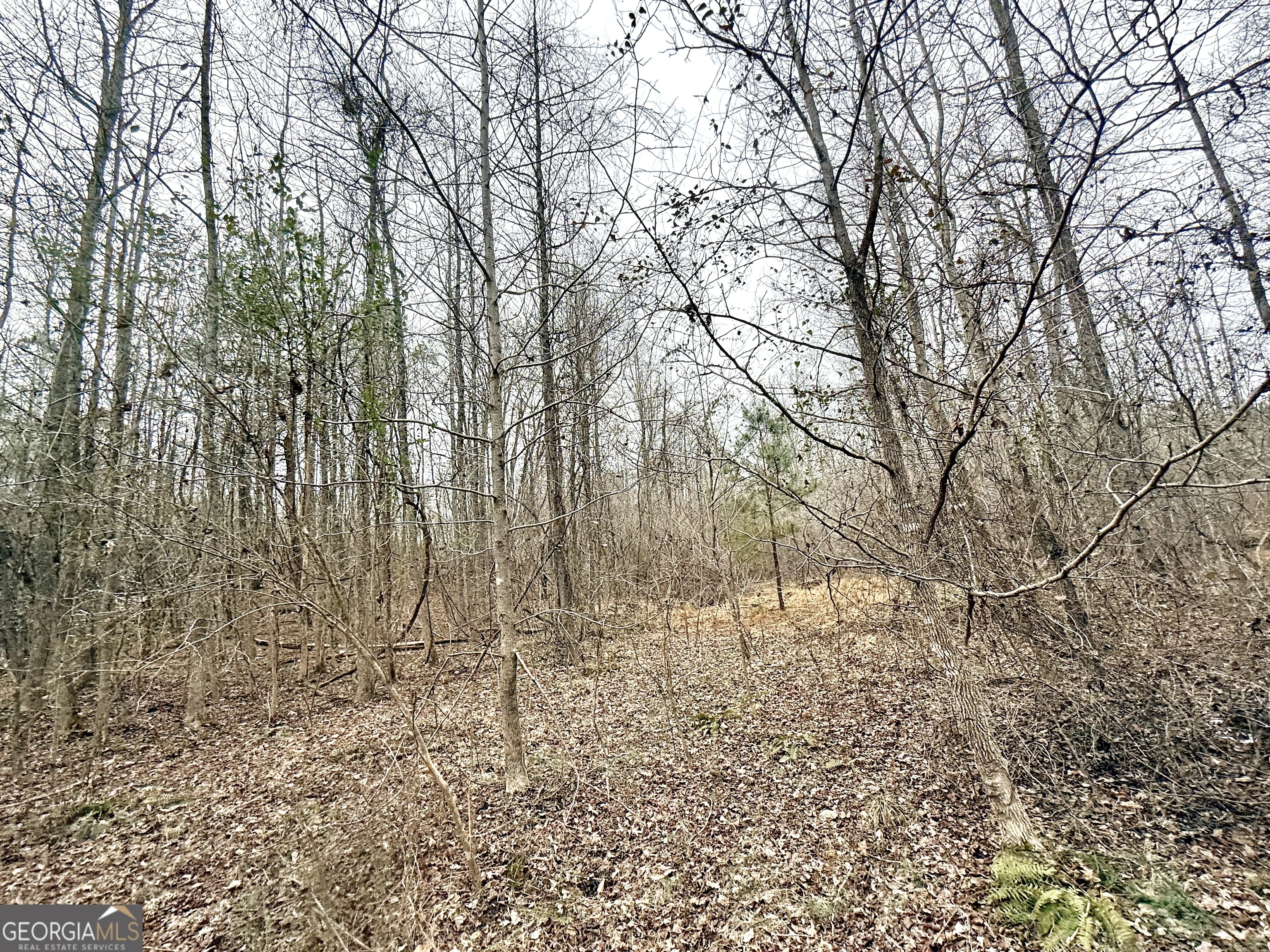 14 Turning Point Way Elberton, GA 30635 - Photo 41 of 65 a view of covered with snow