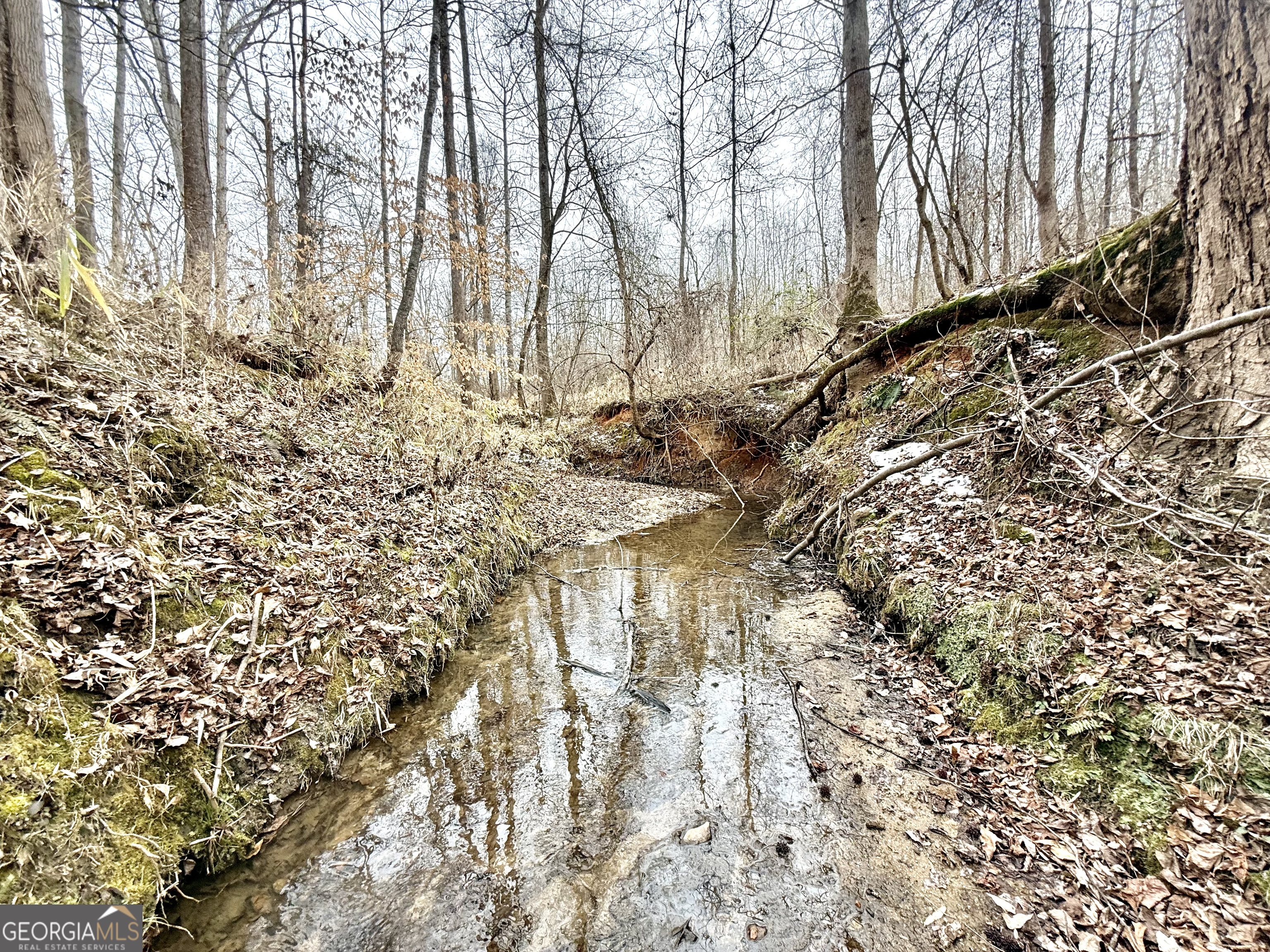 14 Turning Point Way Elberton, GA 30635 - Photo 42 of 65 a view of a yard with trees