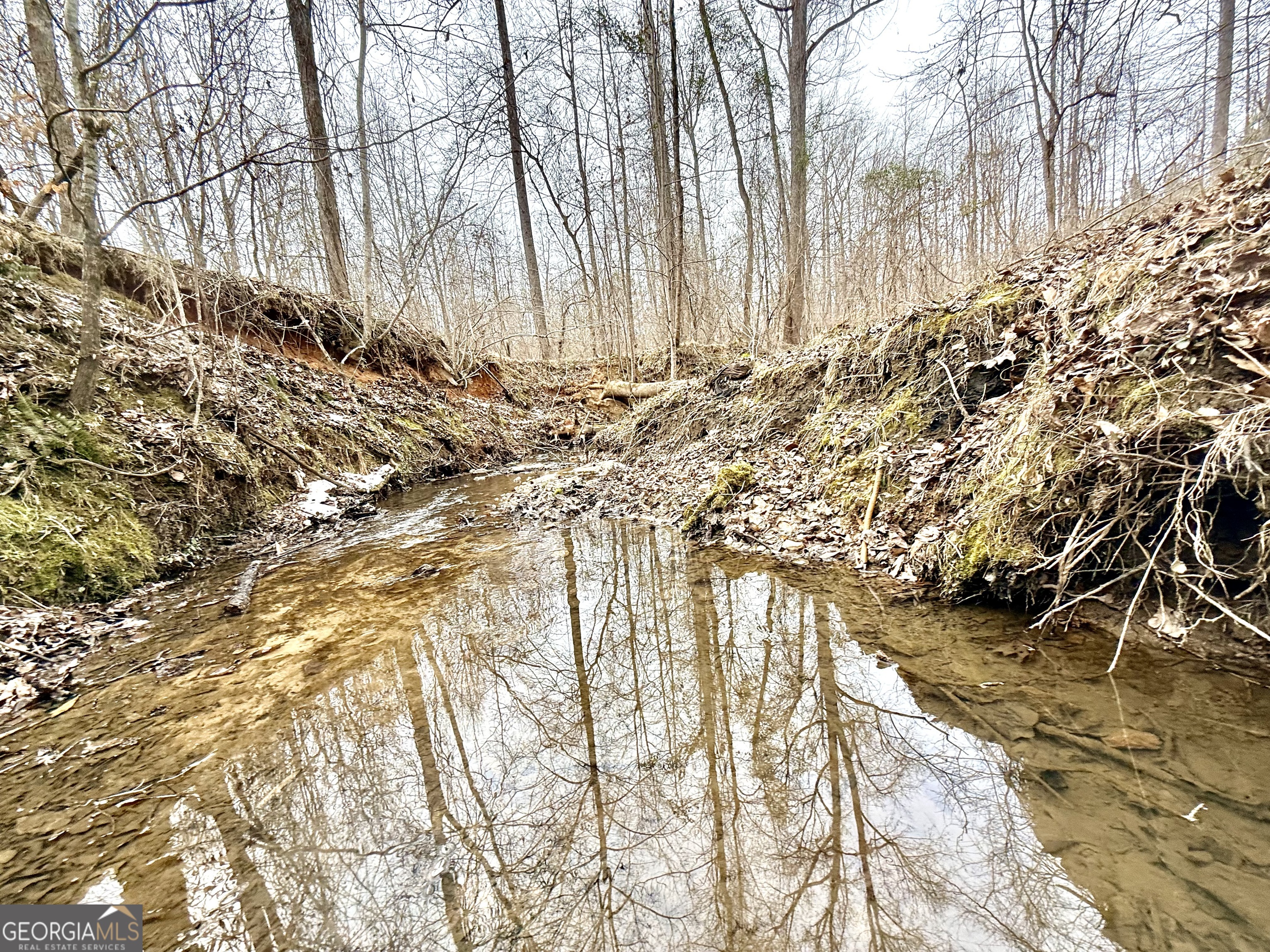14 Turning Point Way Elberton, GA 30635 - Photo 43 of 65 a view of yard with trees