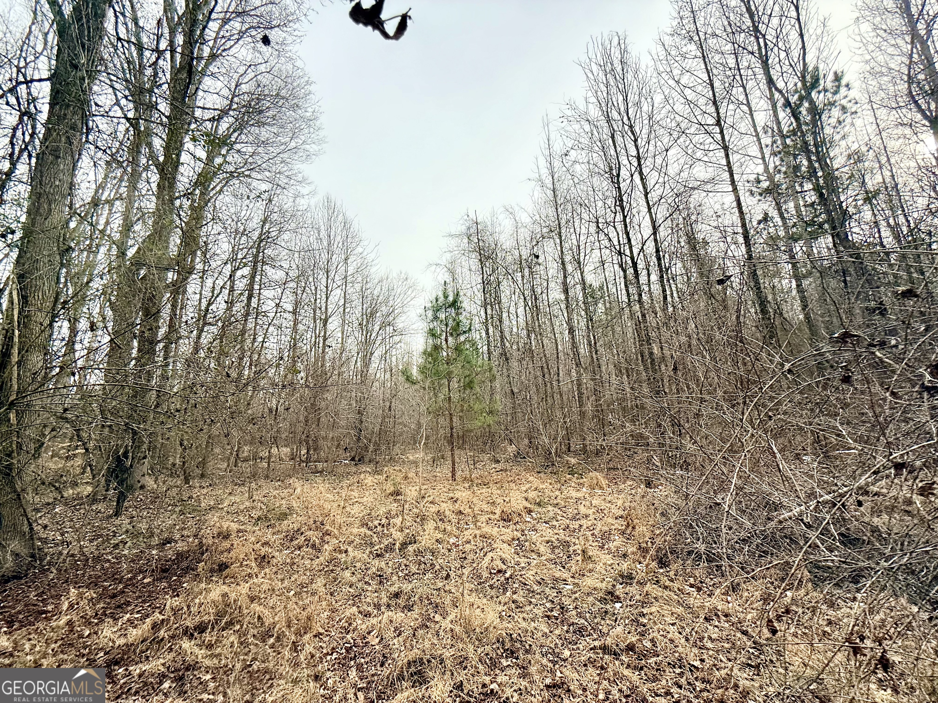 14 Turning Point Way Elberton, GA 30635 - Photo 44 of 65