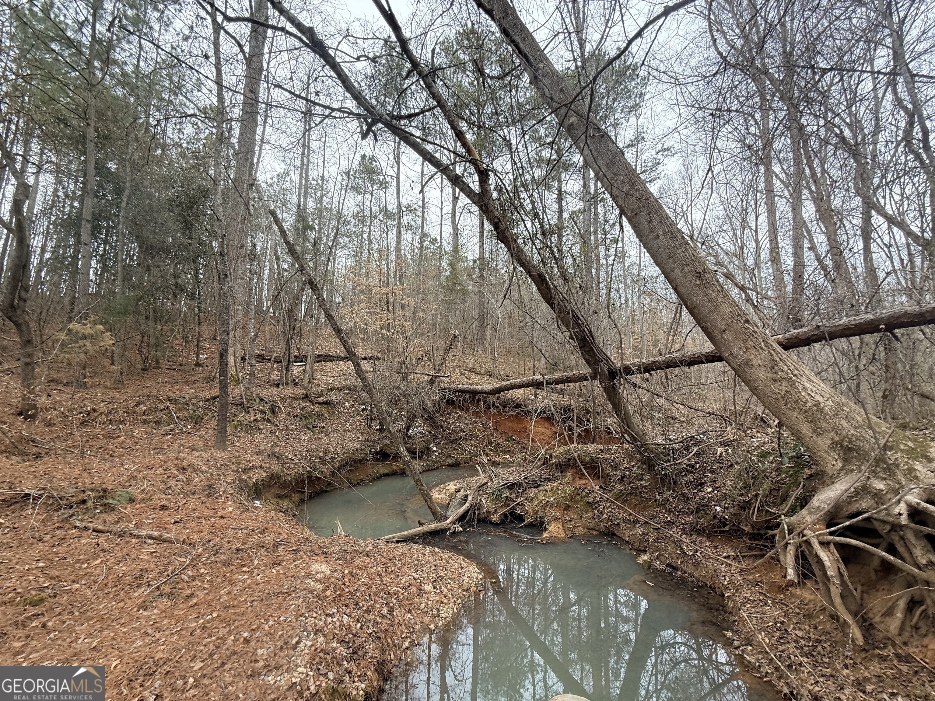14 Turning Point Way Elberton, GA 30635 - Photo 47 of 65 a view of yard along with trees