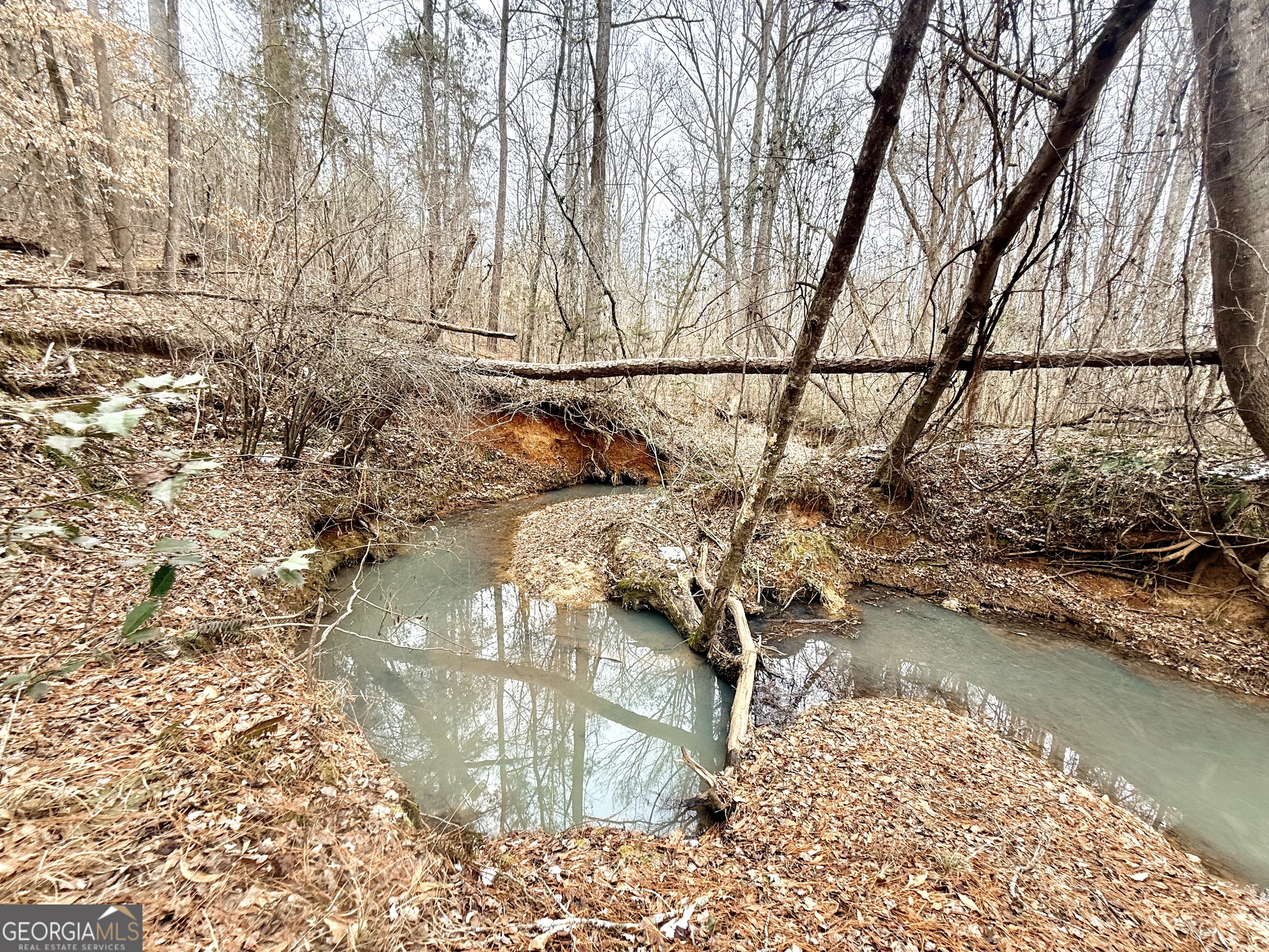 14 Turning Point Way Elberton, GA 30635 - Photo 48 of 65