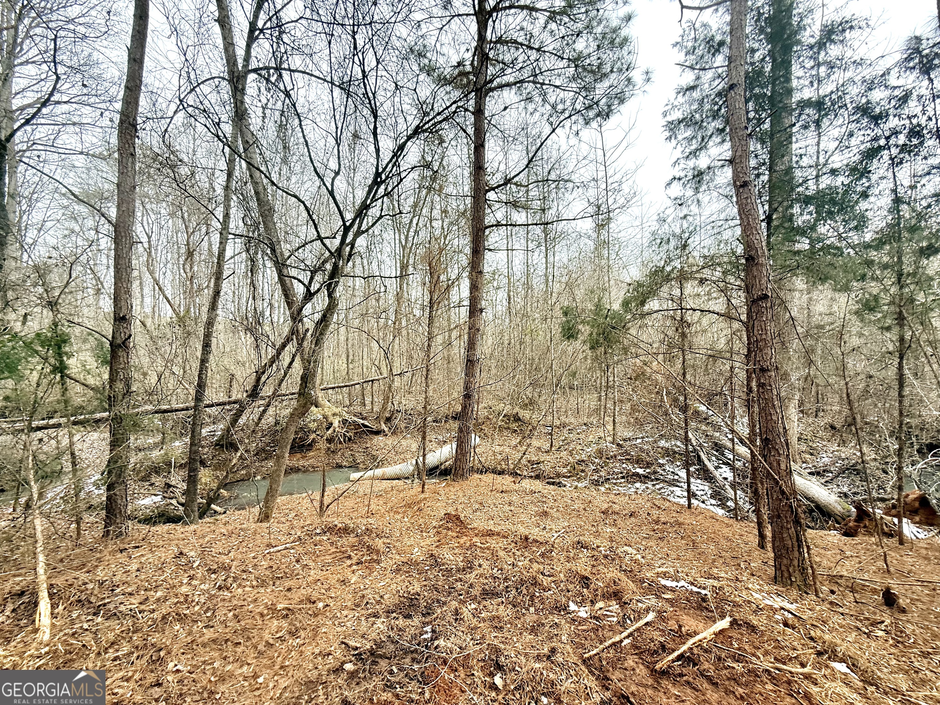 14 Turning Point Way Elberton, GA 30635 - Photo 50 of 65 a view of wooden fence and trees
