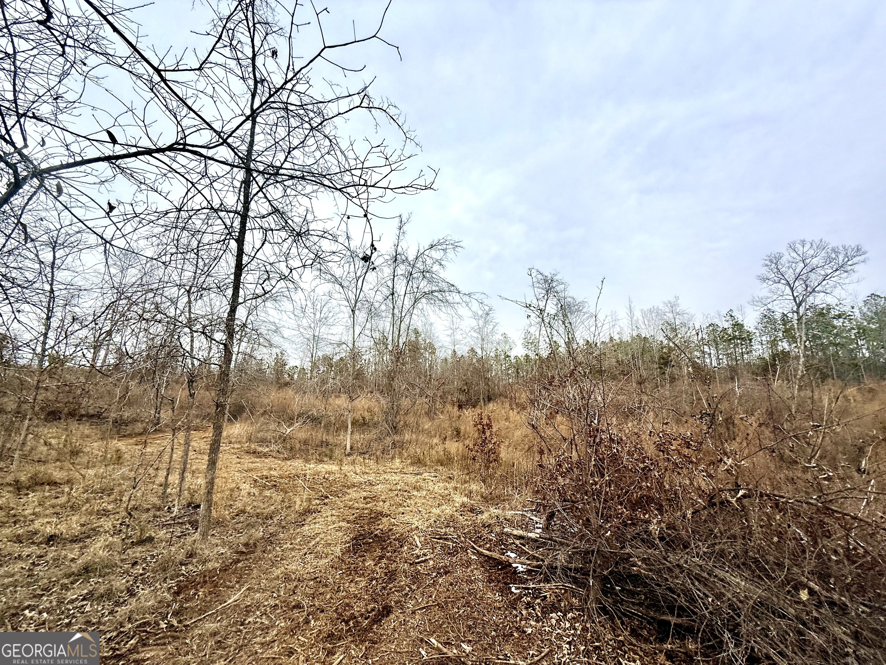 14 Turning Point Way Elberton, GA 30635 - Photo 5 of 65 a view of covered with green space