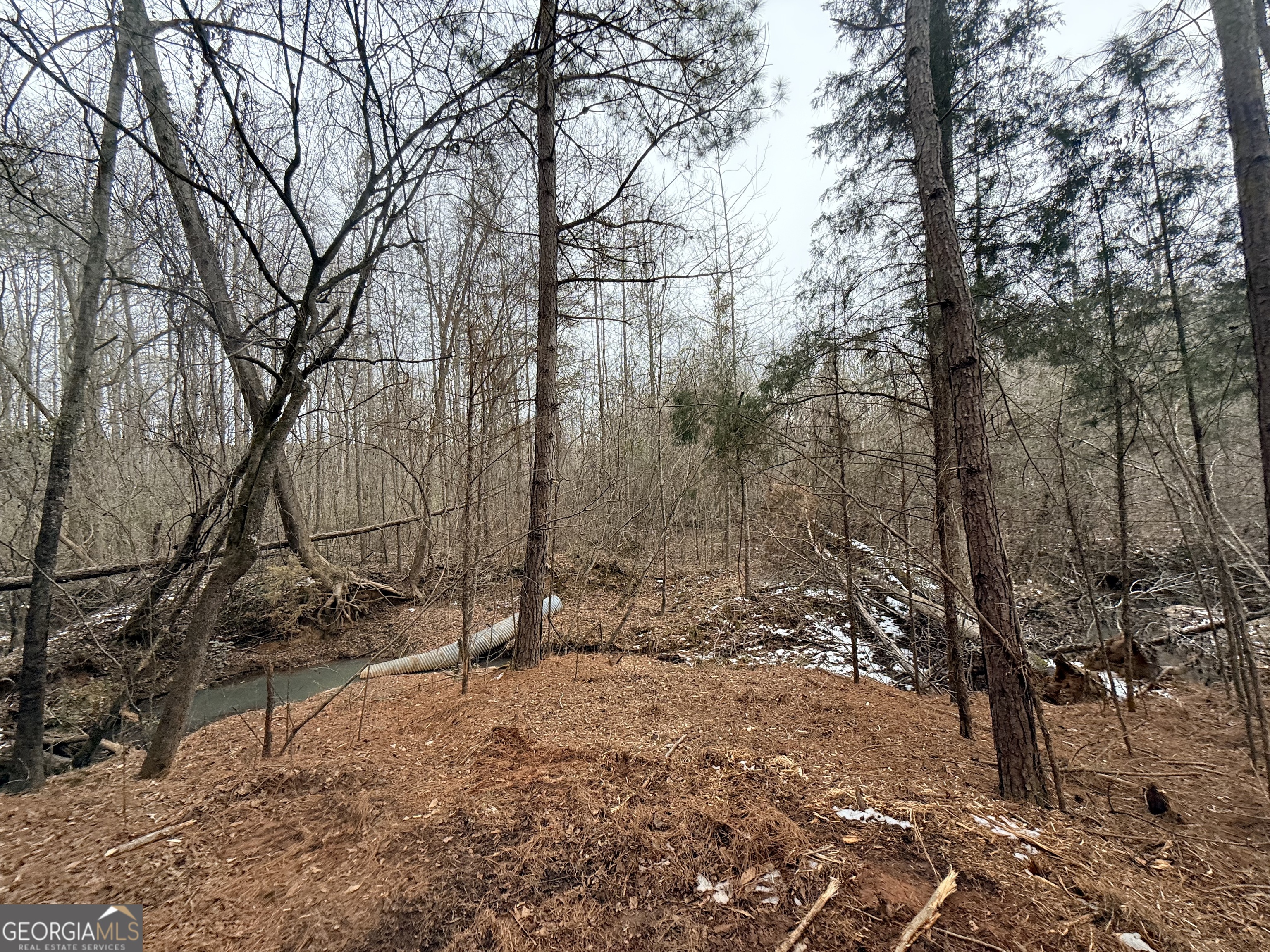 14 Turning Point Way Elberton, GA 30635 - Photo 51 of 65 a view of a forest with trees