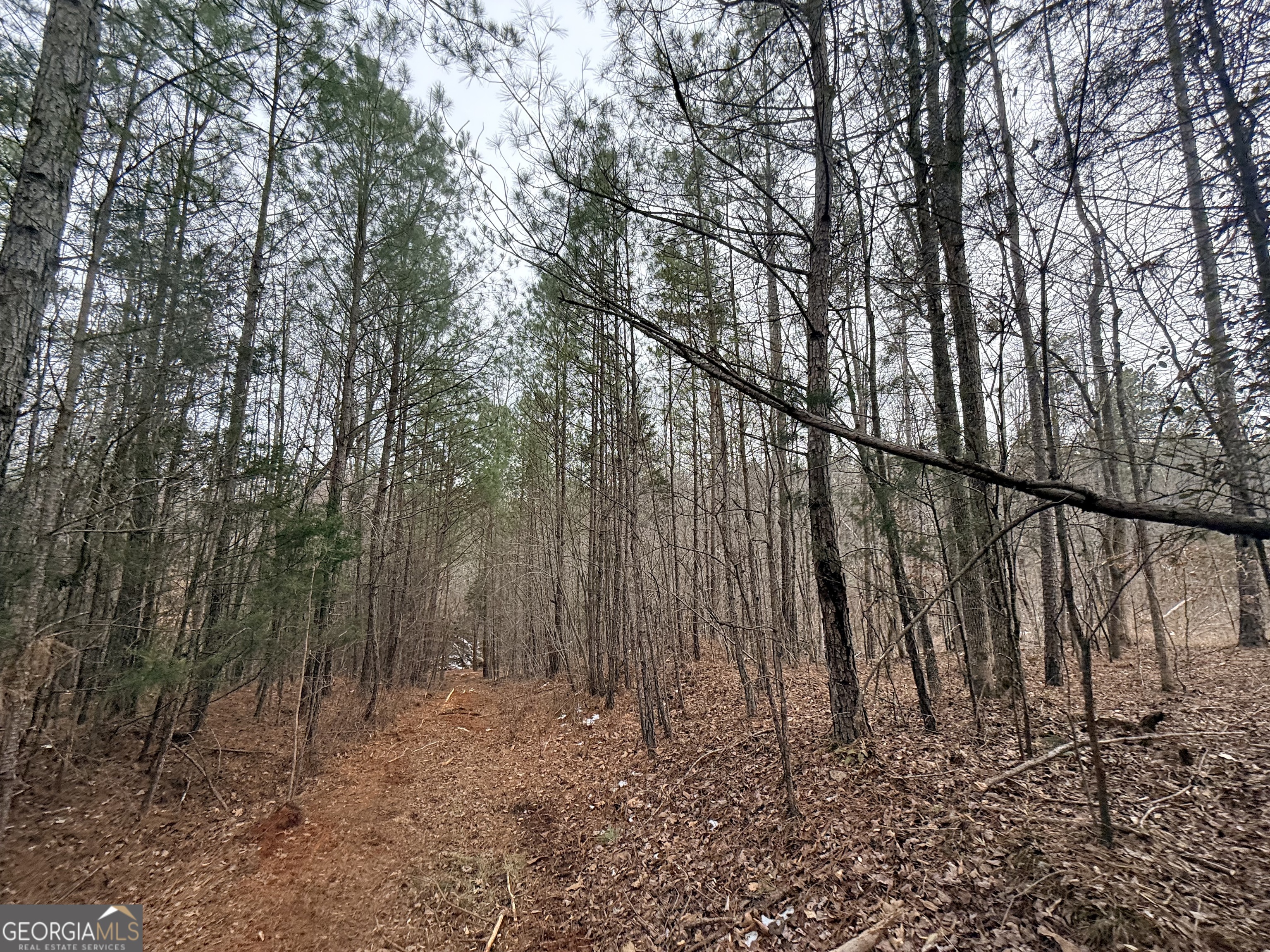 14 Turning Point Way Elberton, GA 30635 - Photo 52 of 65 a view of outdoor space with wooden fence