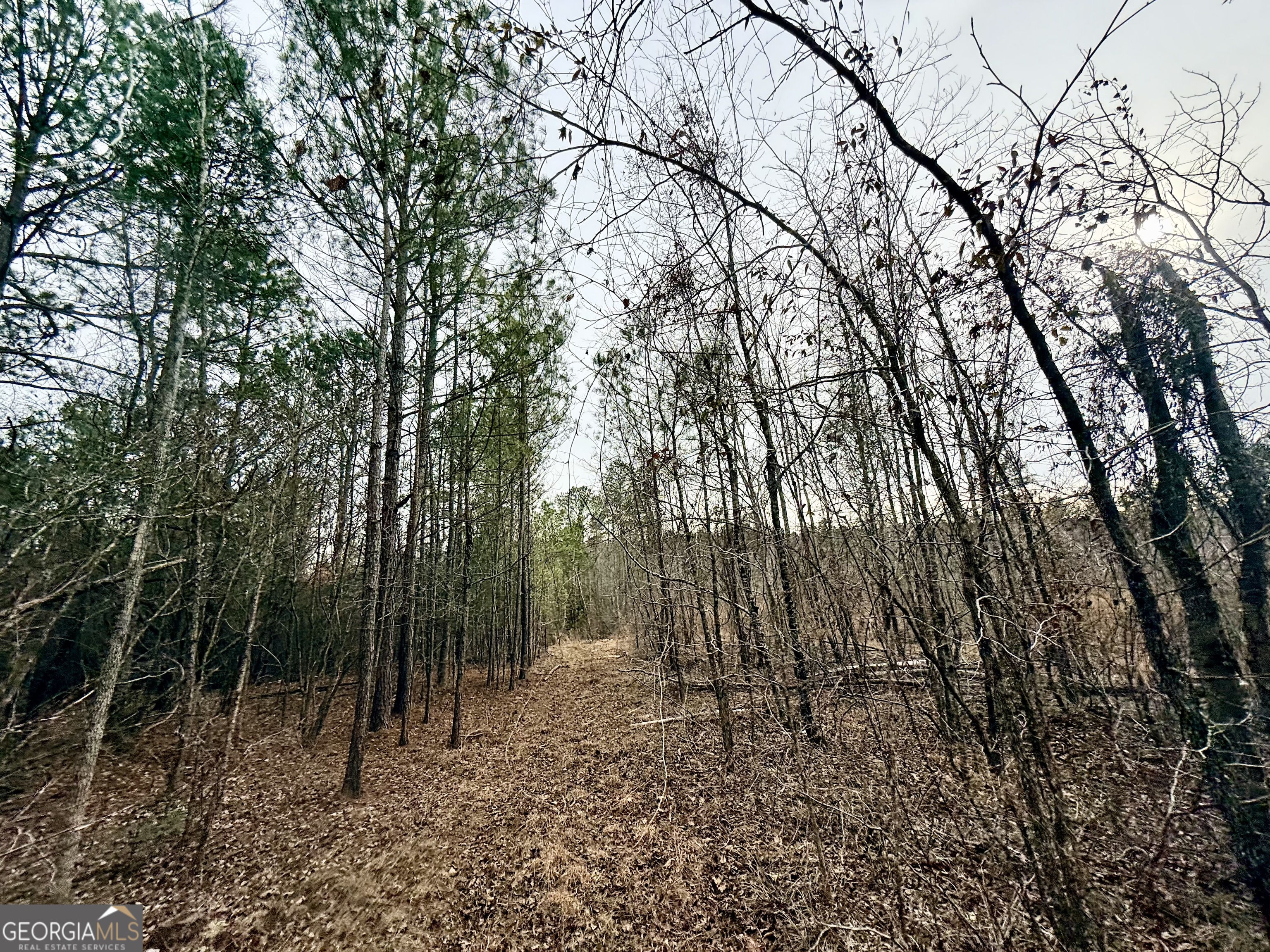 14 Turning Point Way Elberton, GA 30635 - Photo 54 of 65 a view of backyard with green space