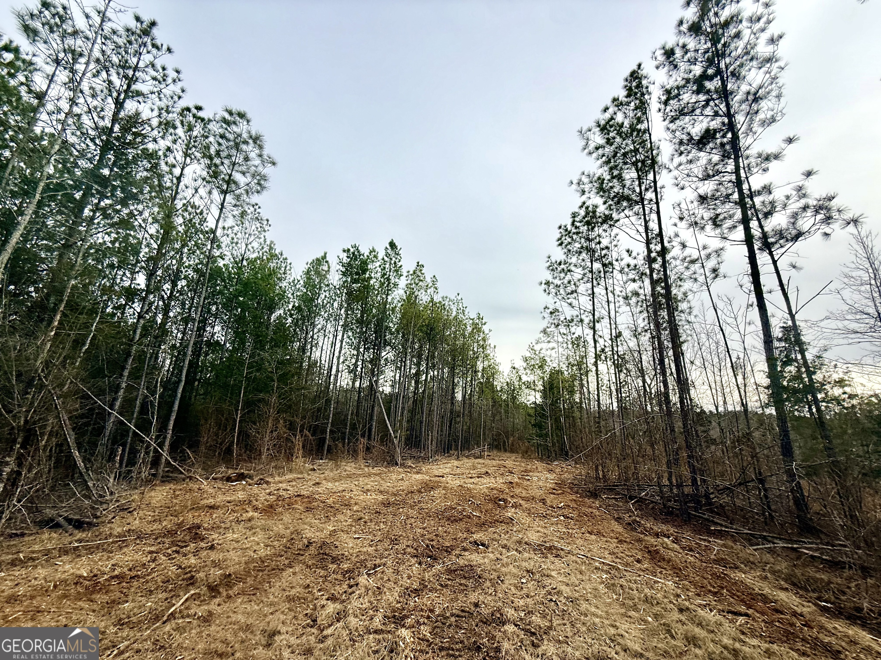 14 Turning Point Way Elberton, GA 30635 - Photo 56 of 65 a view of backyard with green space
