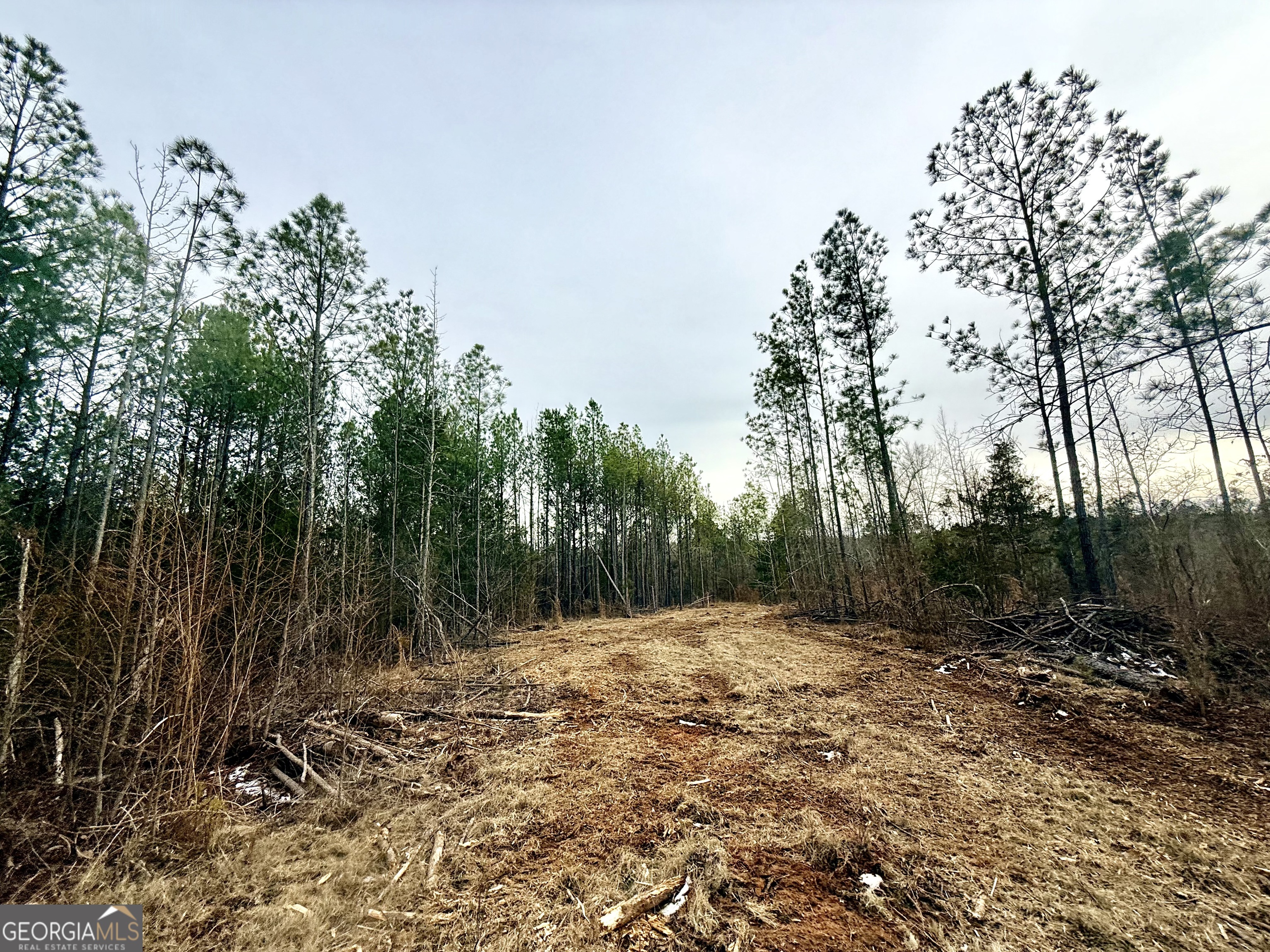 14 Turning Point Way Elberton, GA 30635 - Photo 58 of 65 a view of a tree with a yard