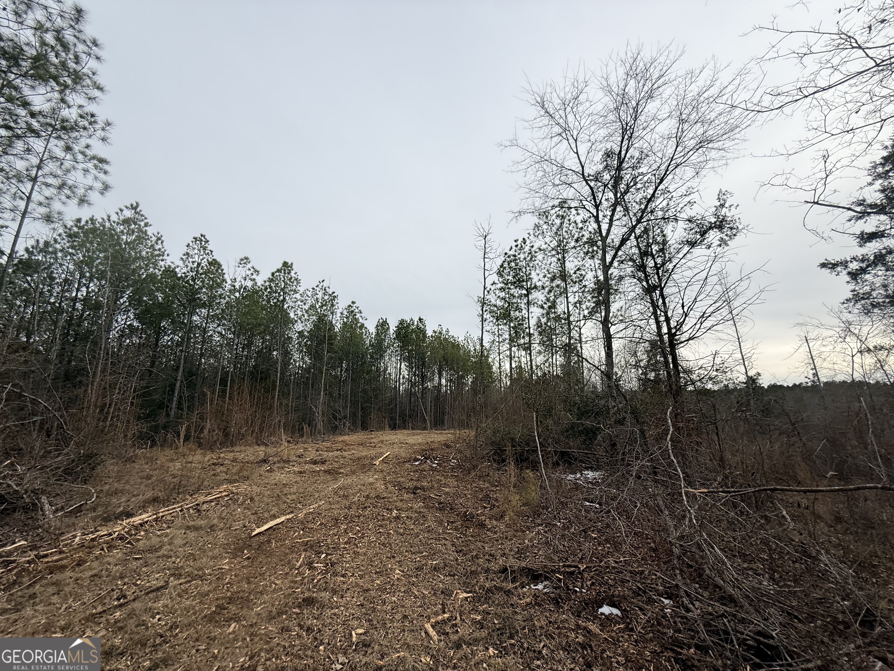 14 Turning Point Way Elberton, GA 30635 - Photo 59 of 65 a view of backyard with green space