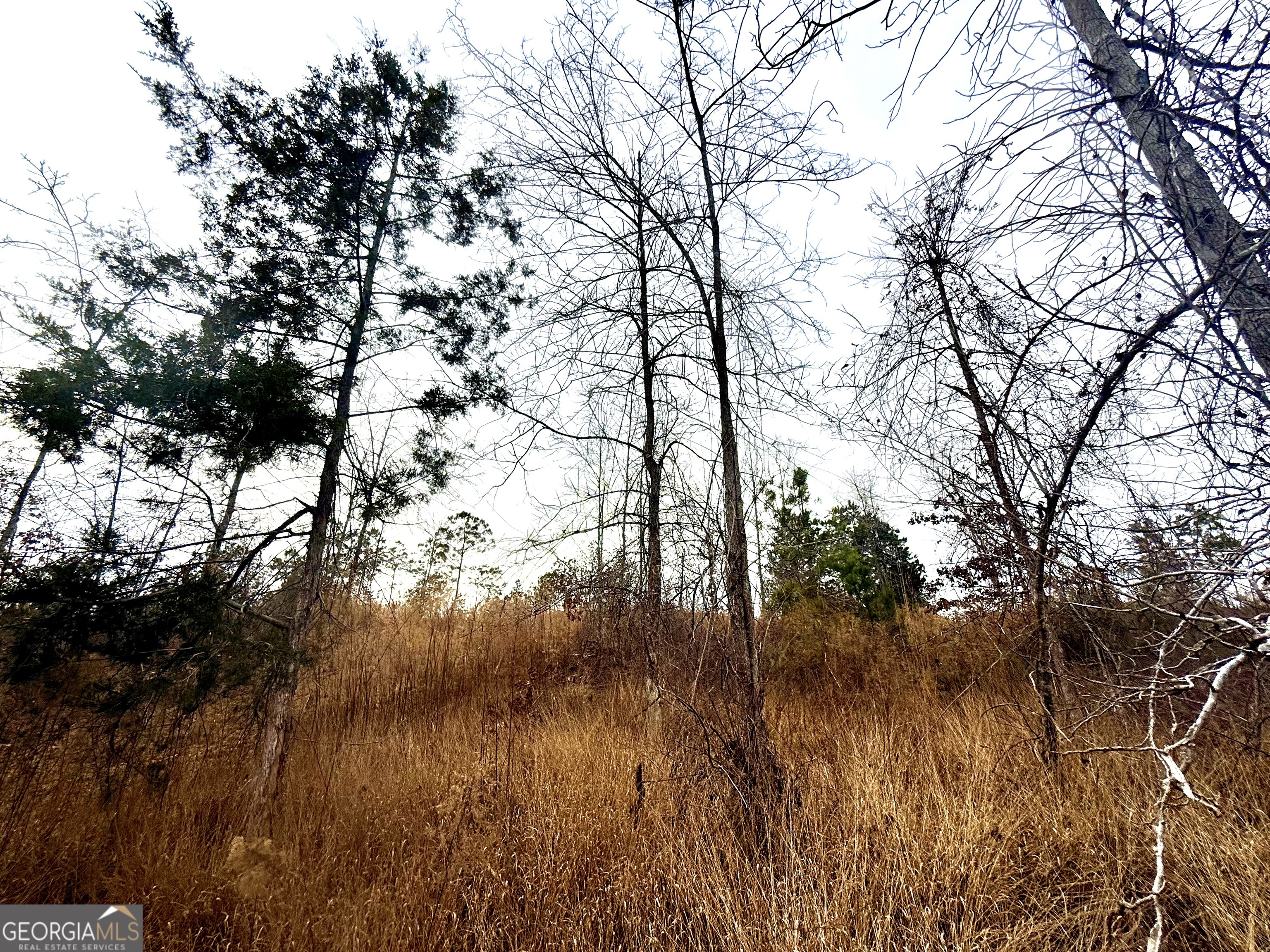 14 Turning Point Way Elberton, GA 30635 - Photo 6 of 65 a view of mountain view with lots of trees