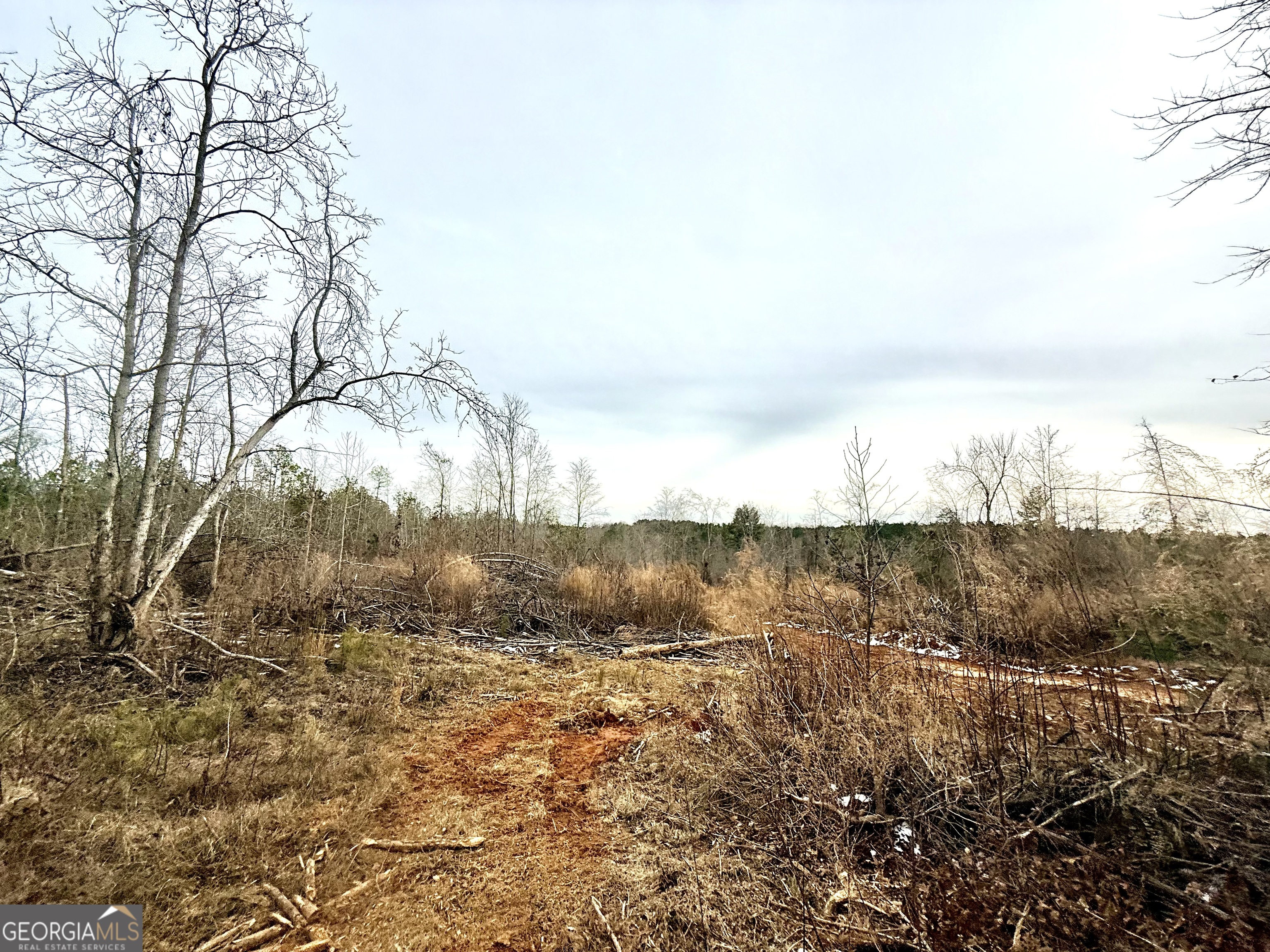 14 Turning Point Way Elberton, GA 30635 - Photo 63 of 65 a view of a yard