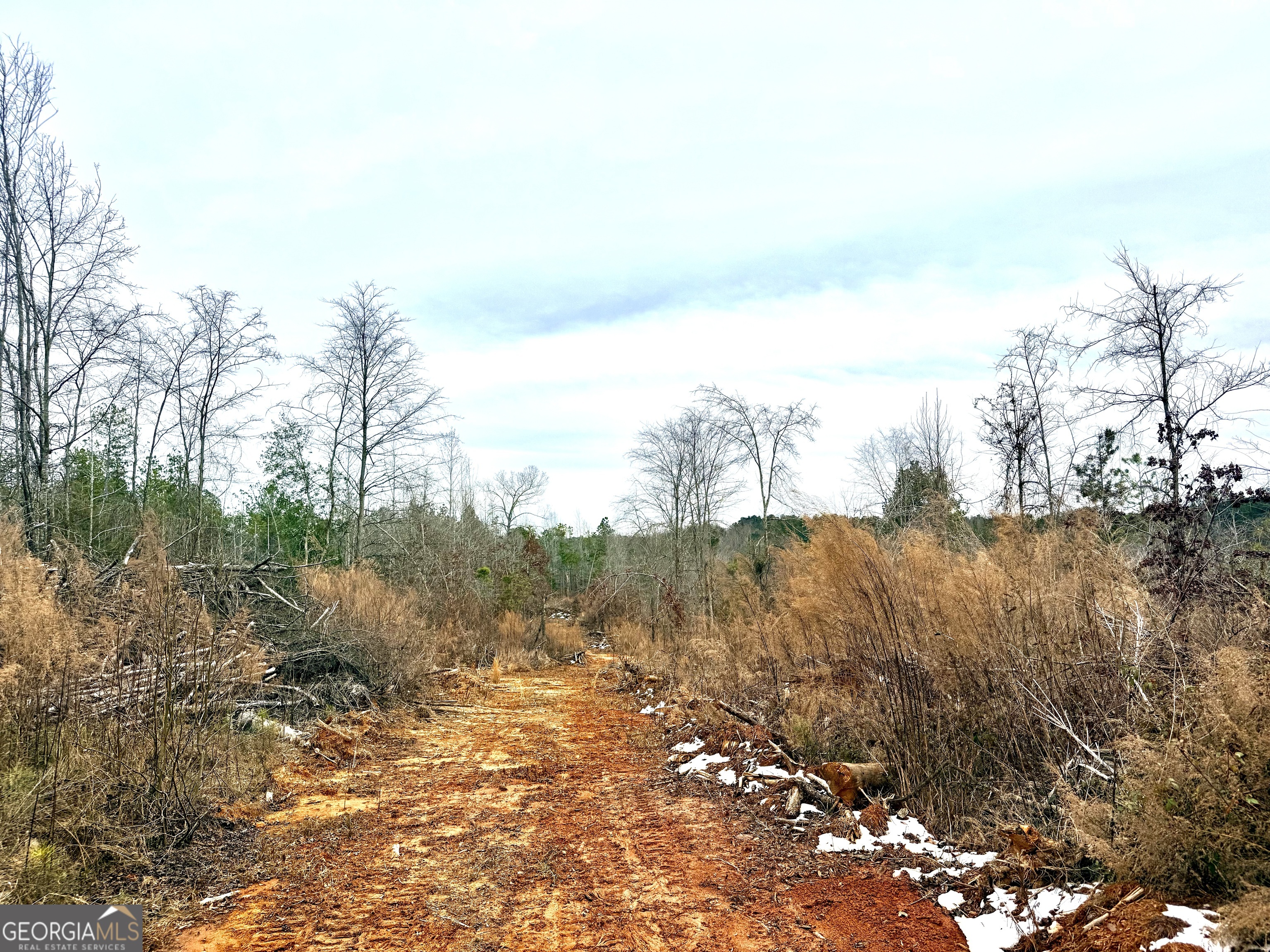 14 Turning Point Way Elberton, GA 30635 - Photo 7 of 65 a view of mountain view with lots of trees