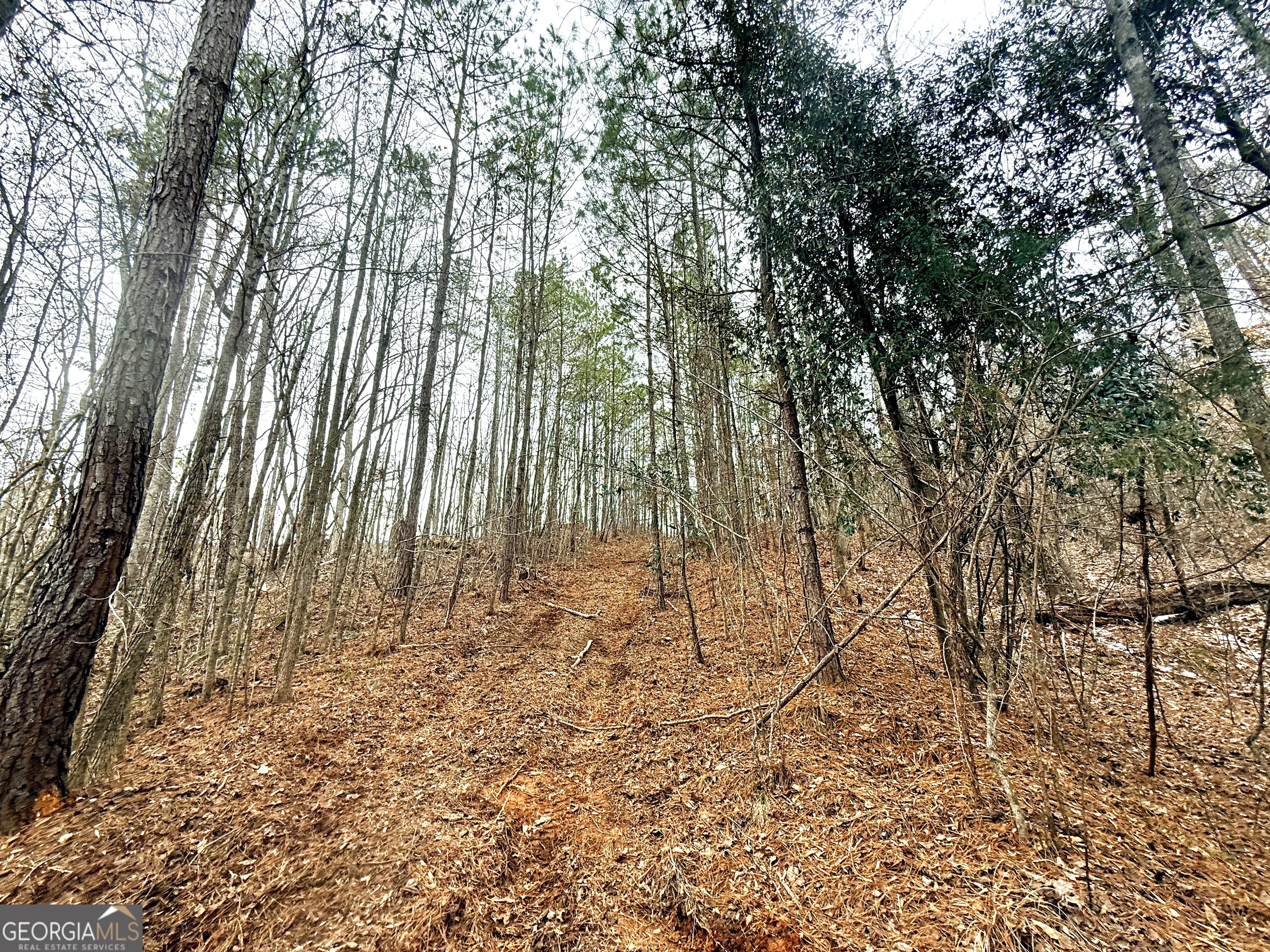 14 Turning Point Way Elberton, GA 30635 - Photo 8 of 65 a view of backyard with wooden fence and trees
