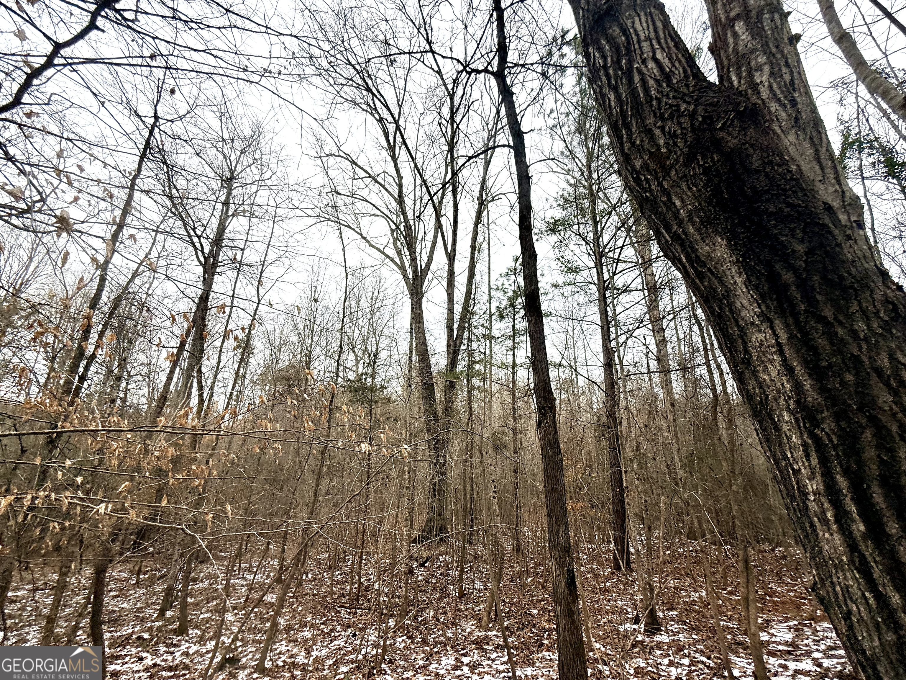14 Turning Point Way Elberton, GA 30635 - Photo 9 of 65 a backyard of a house with lots of trees