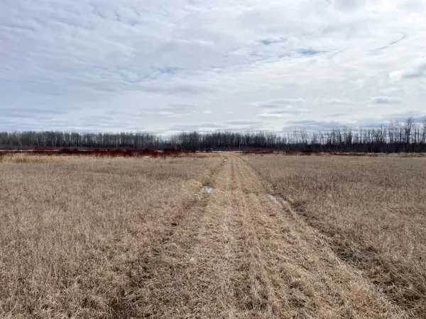 $278,250 | 3228 County Road 1 Southwest, Baudette, MN 56623