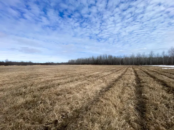 $278,250 | 3228 County Road 1 Southwest, Baudette, MN 56623