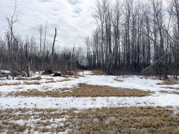 $278,250 | 3228 County Road 1 Southwest, Baudette, MN 56623