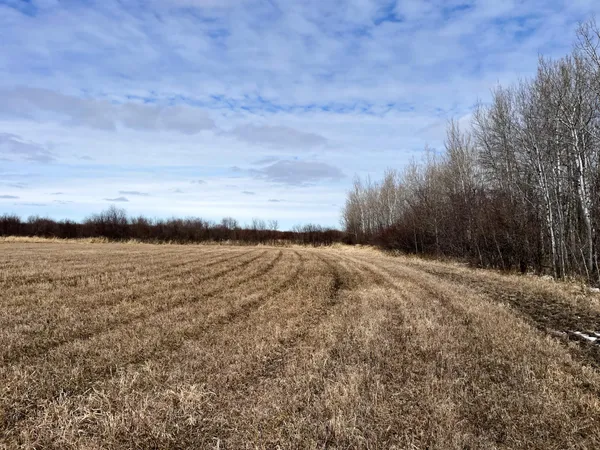 $278,250 | 3228 County Road 1 Southwest, Baudette, MN 56623