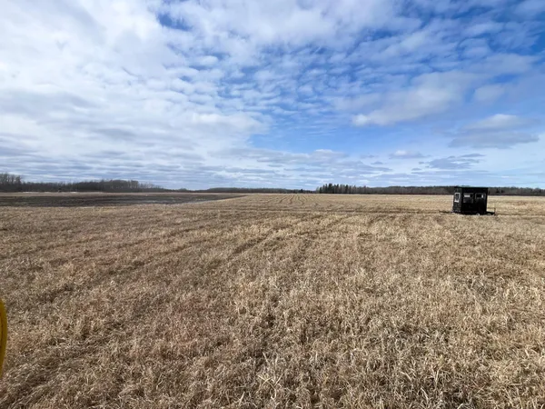 $278,250 | 3228 County Road 1 Southwest, Baudette, MN 56623