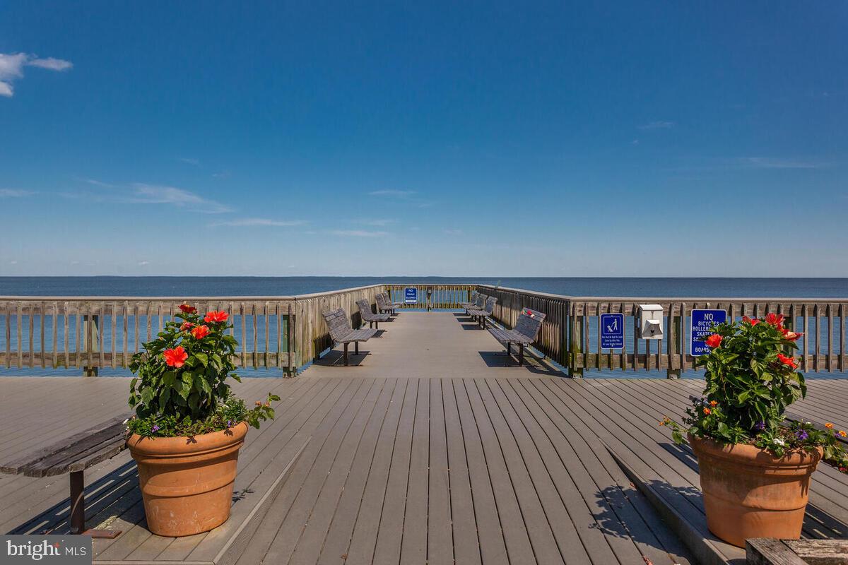 8605 Addison Bridge Place Chesapeake Beach, MD 20732 - Photo 51 of 63