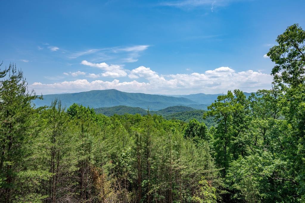 4538 Stackstone Road Sevierville, TN 37862 - Photo 33 of 35 Gallery Image 33