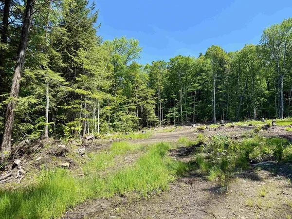 $65,000 | 585 Sawmill Road, West Wardsboro, VT 05360
