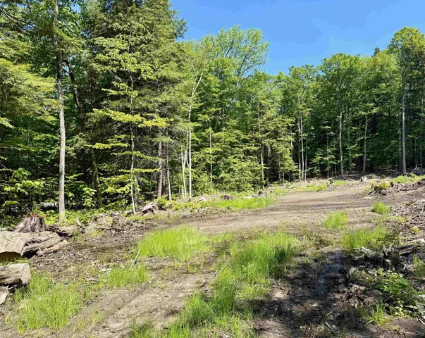$65,000 | 585 Sawmill Road, West Wardsboro, VT 05360