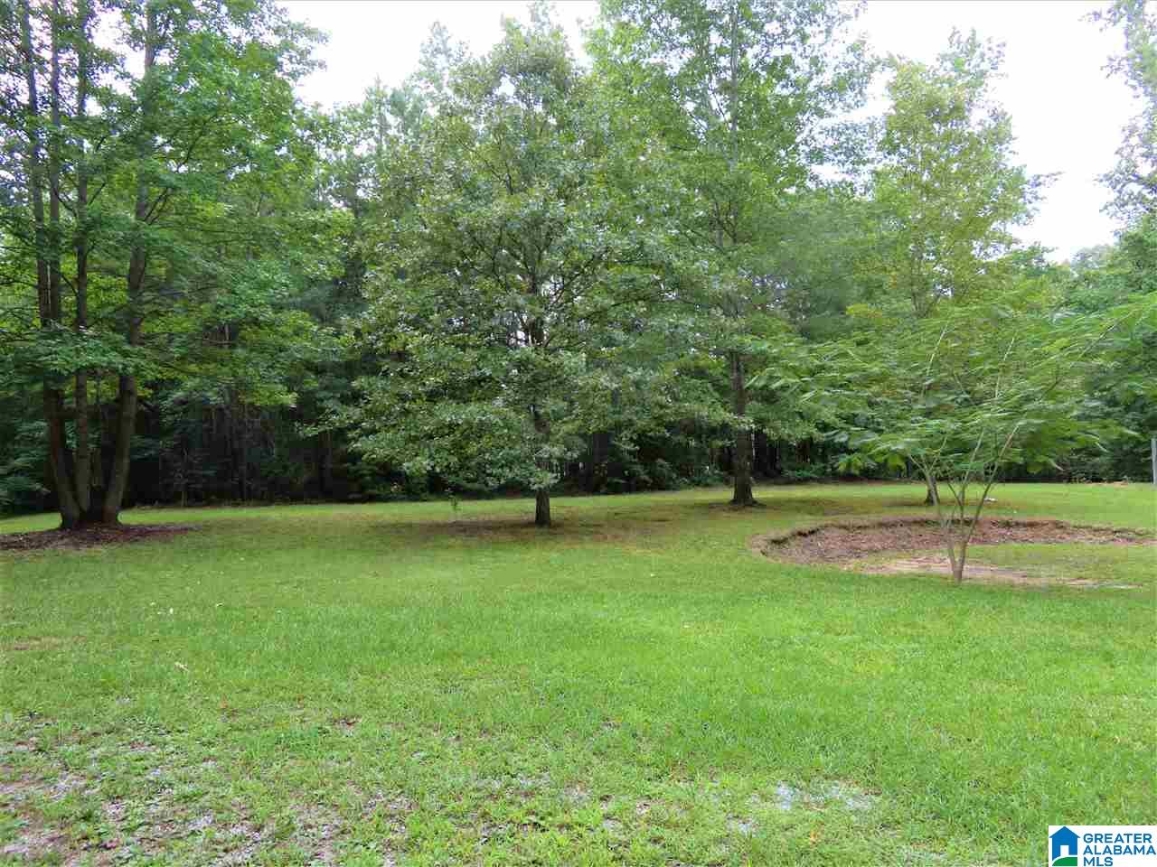 343 Randall Road Gallant, AL 35972 - Photo 37 of 42