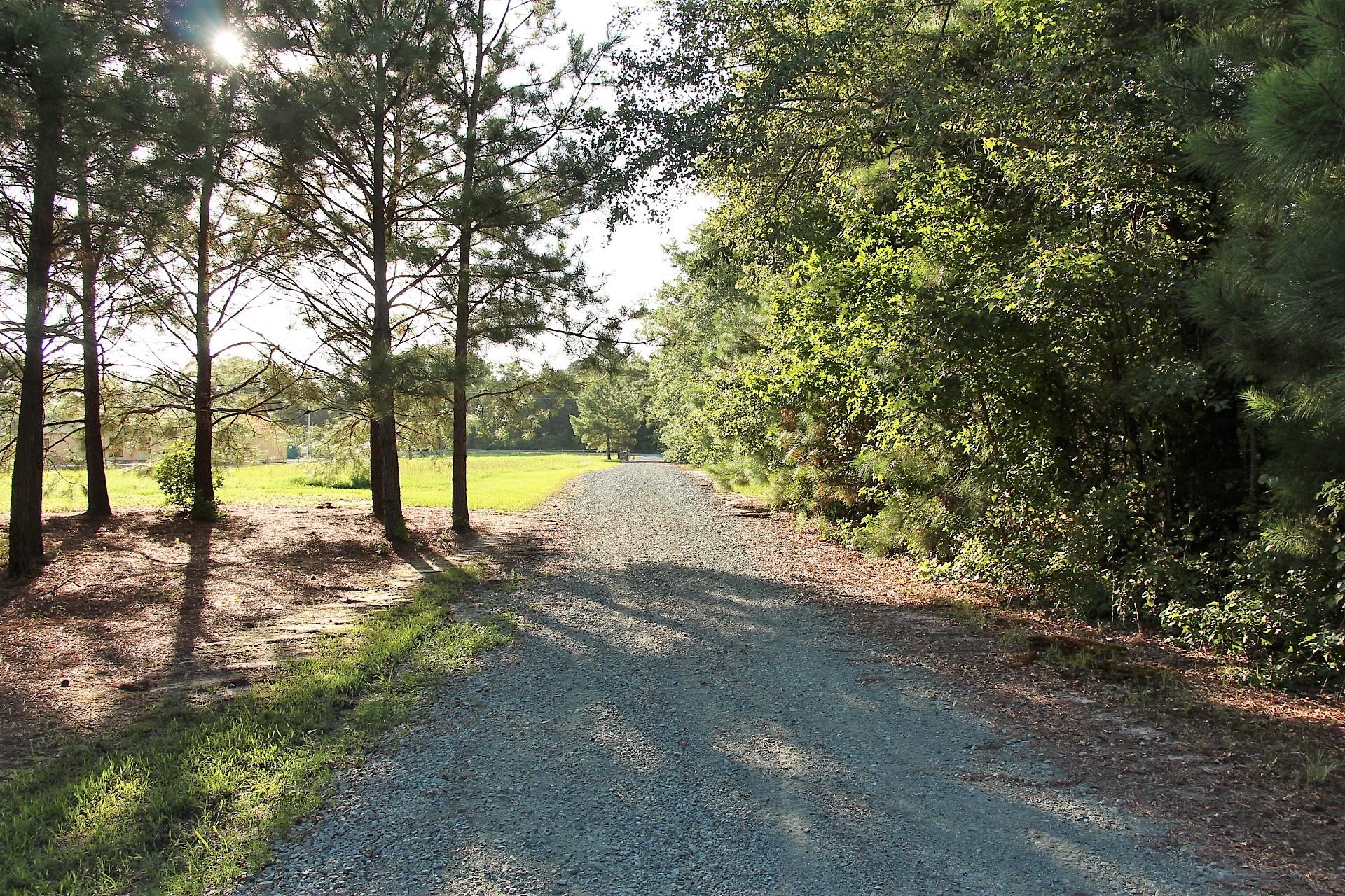 453 Read Road Cameron, NC 28326 - Photo 50 of 54 IMG_6601