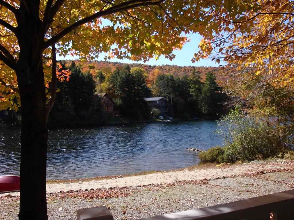 357 Chalk Pond Road Newbury, NH 03255 - Photo 11 of 30 Gallery Image 11