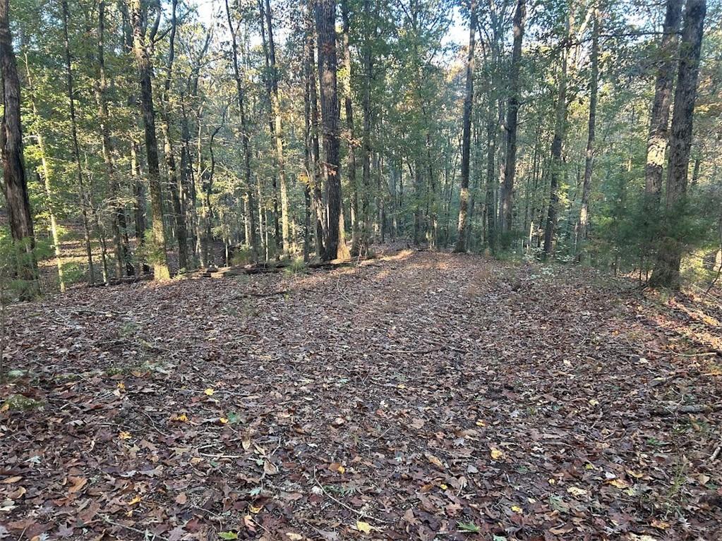 0 Old Columbus Road Bowdon, GA 30108 - Photo 23 of 26